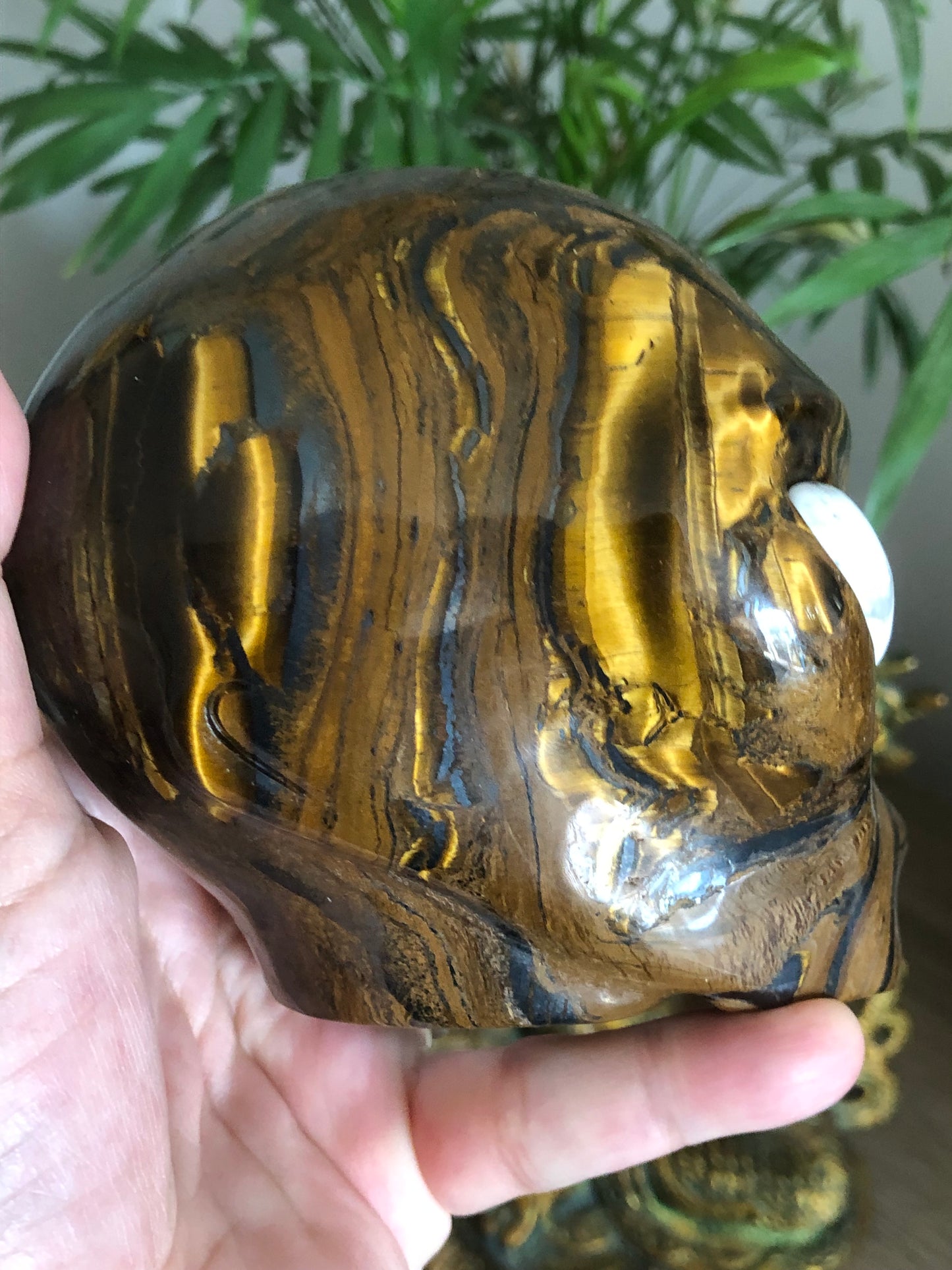 Crâne stellaire œil de fer et howlite