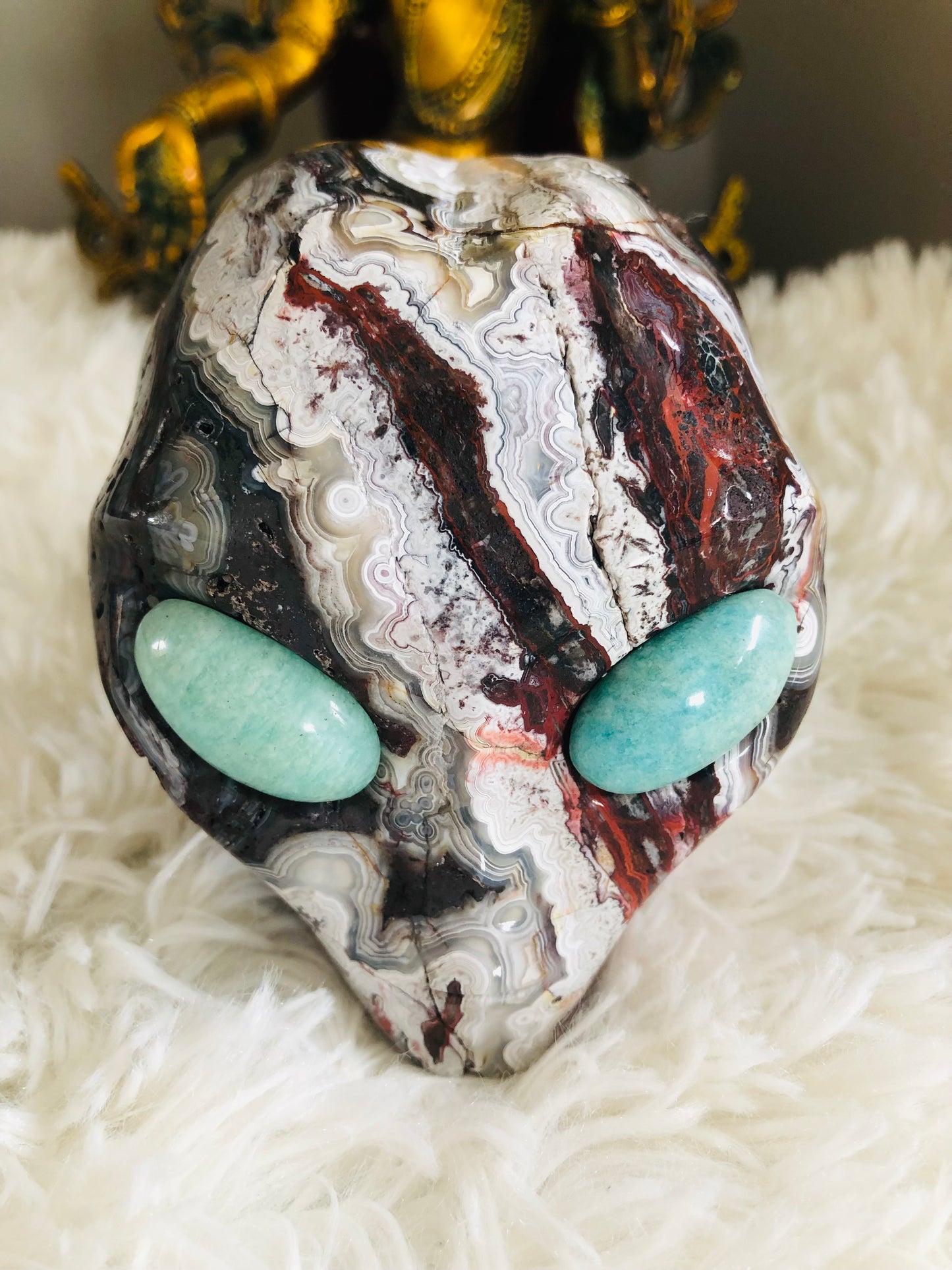 Crâne stellaire en agate mexicaine crazy lace et amazonite