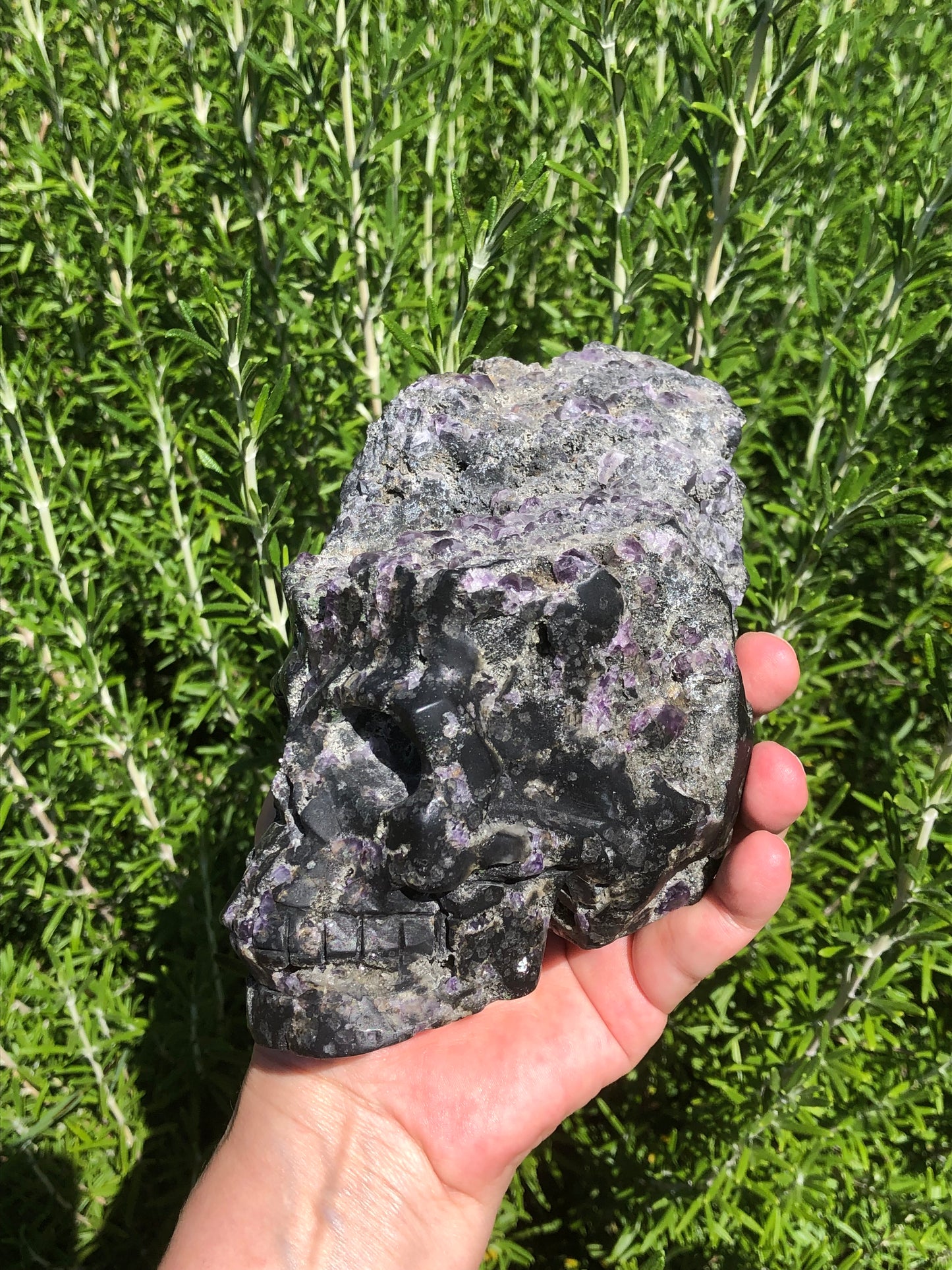Crâne d’améthyste semi poli