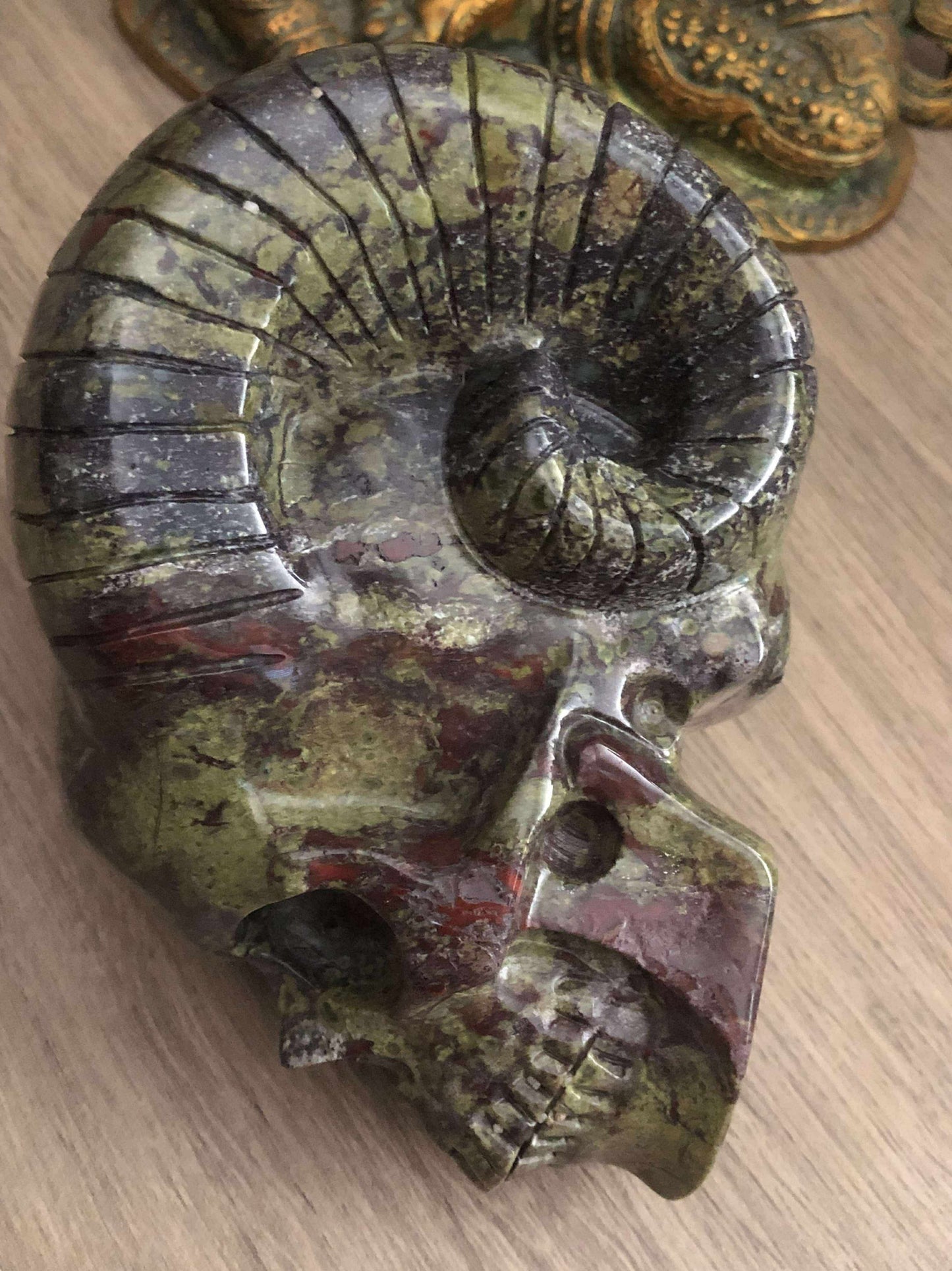 Crâne en jaspe sang de dragon 🐉