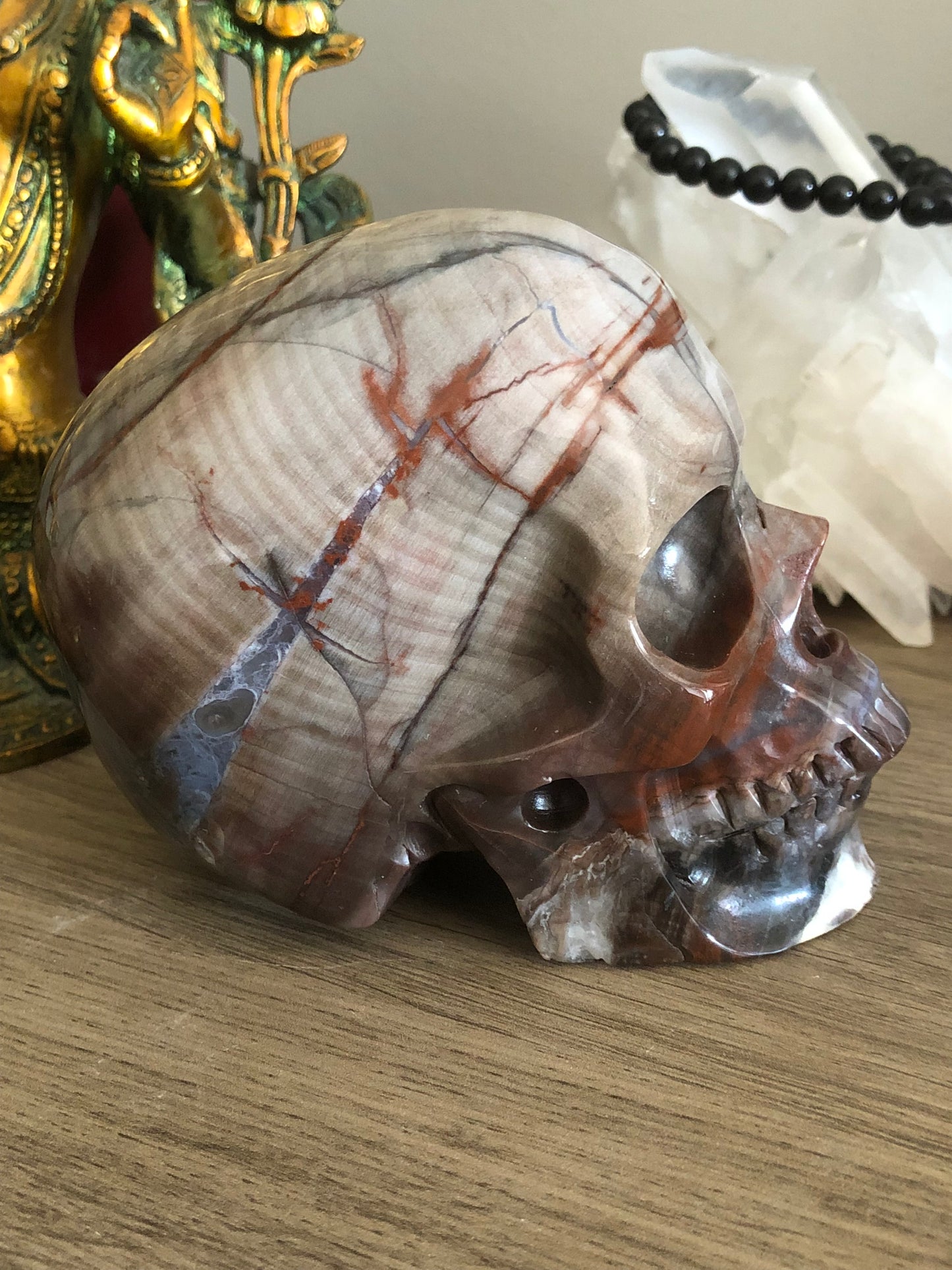 Crâne de cristal en bois fossilisé