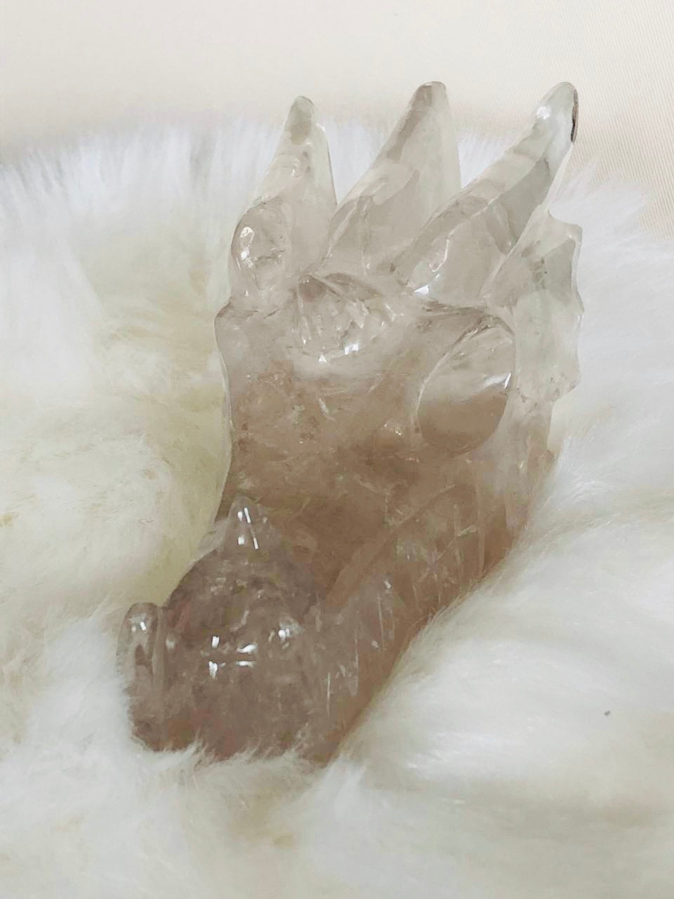 Crâne de dragon en quartz fumé
