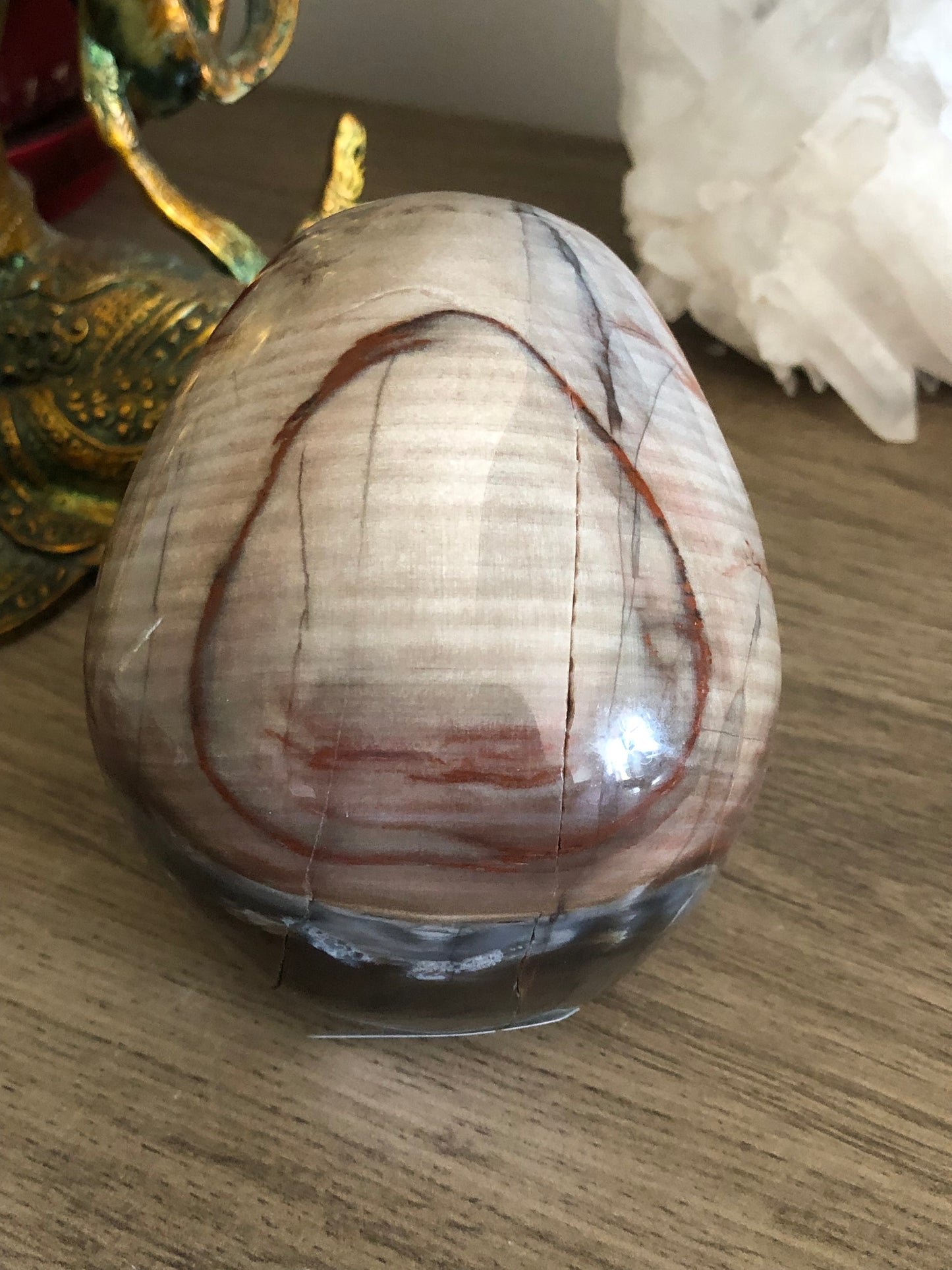 Crâne de cristal en bois fossilisé