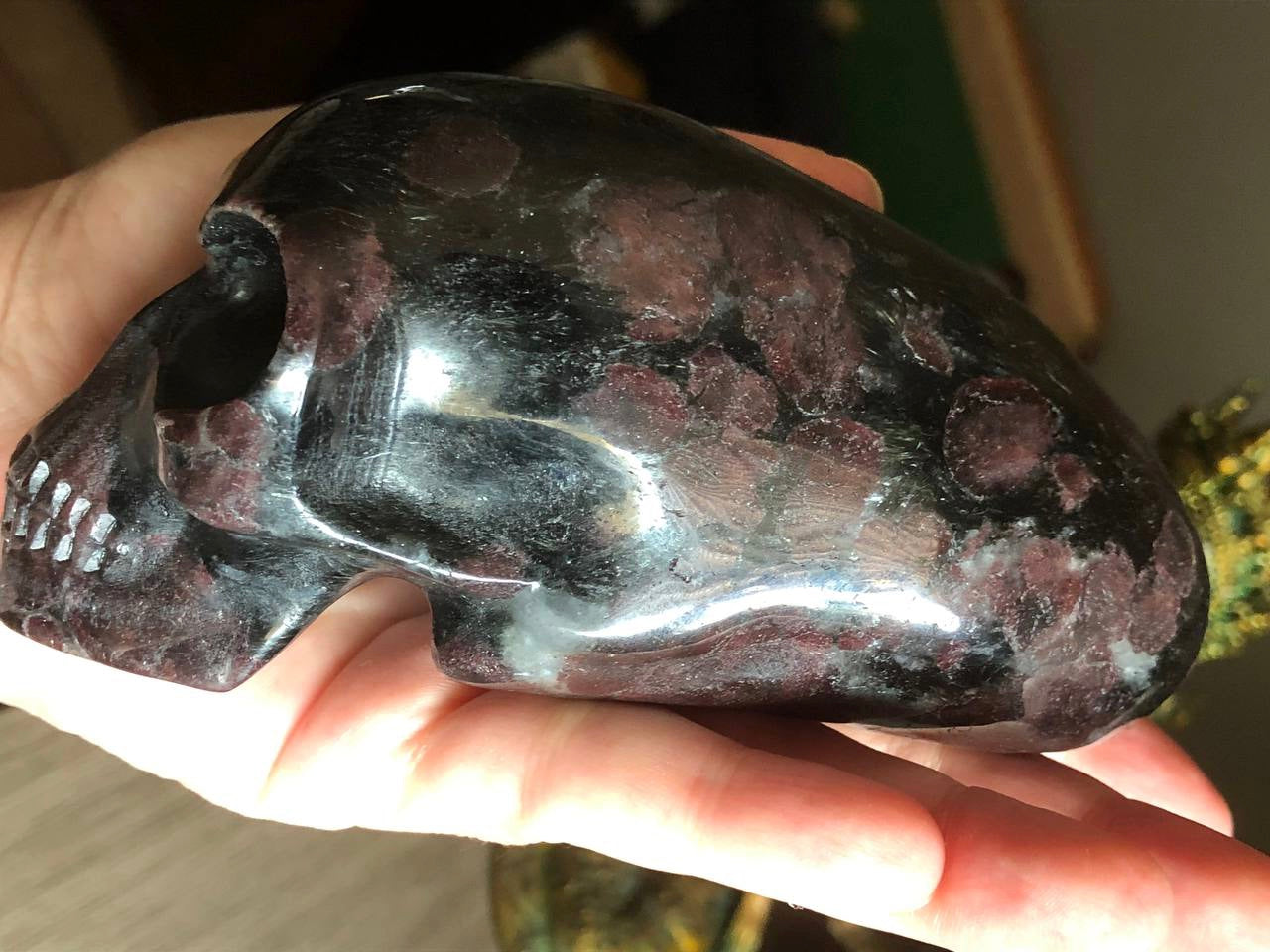 Crâne voyageur en grenat