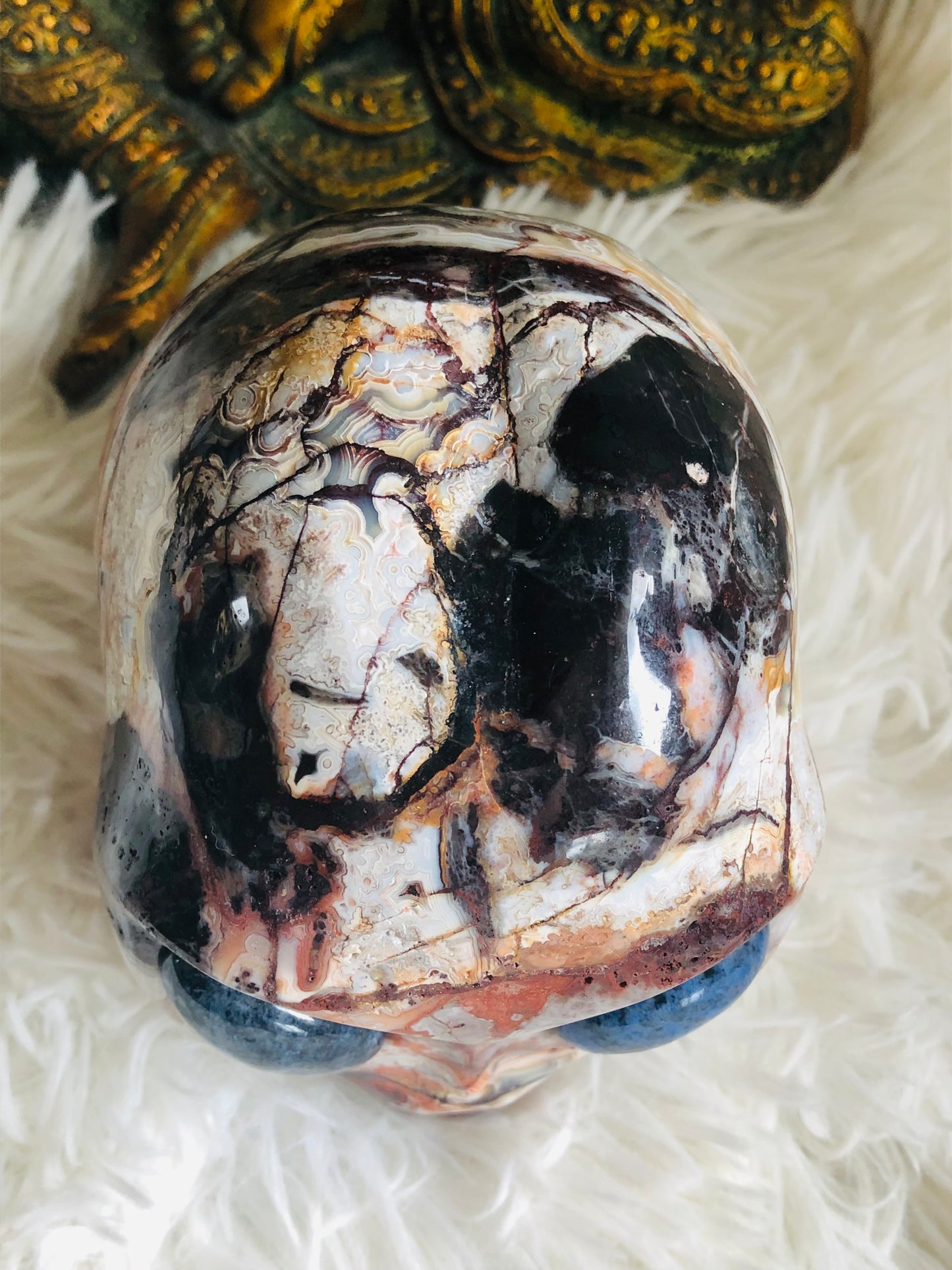 Crâne stellaire en agate mexicaine crazy lace et sodalite