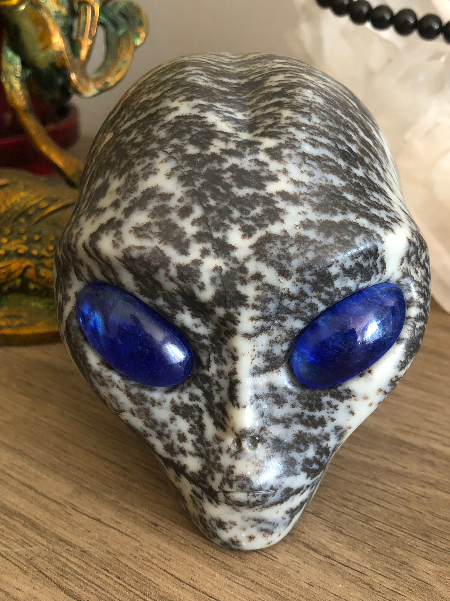 Crâne stellaire en bryozoaire et obsidienne bleue de synthèse