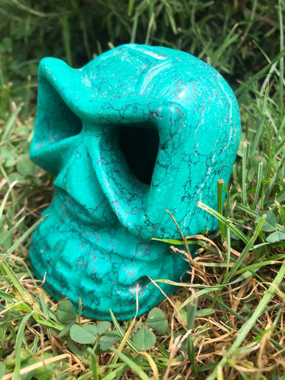 Crâne de cristal en howlite teintée