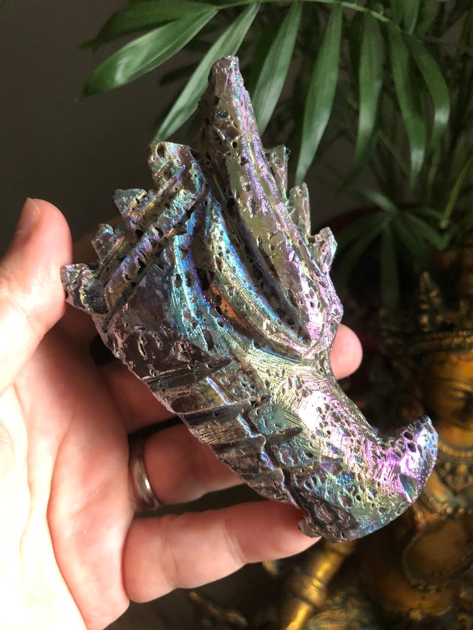 Crâne de dragon en Sphalerite aura