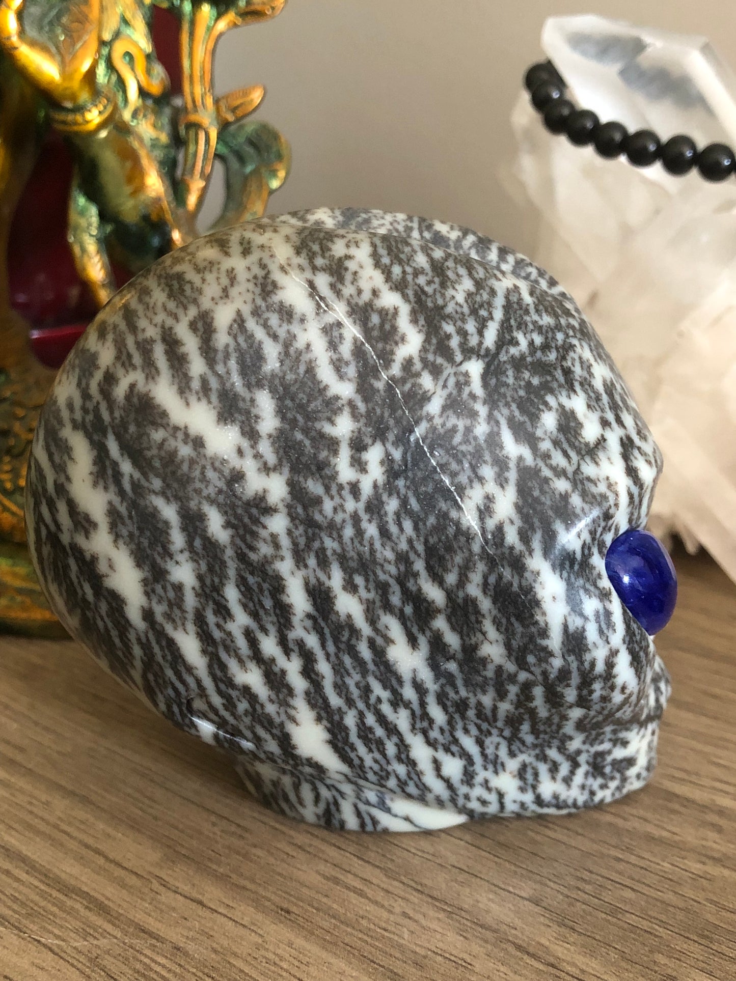 Crâne stellaire en bryozoaire et obsidienne bleue de synthèse