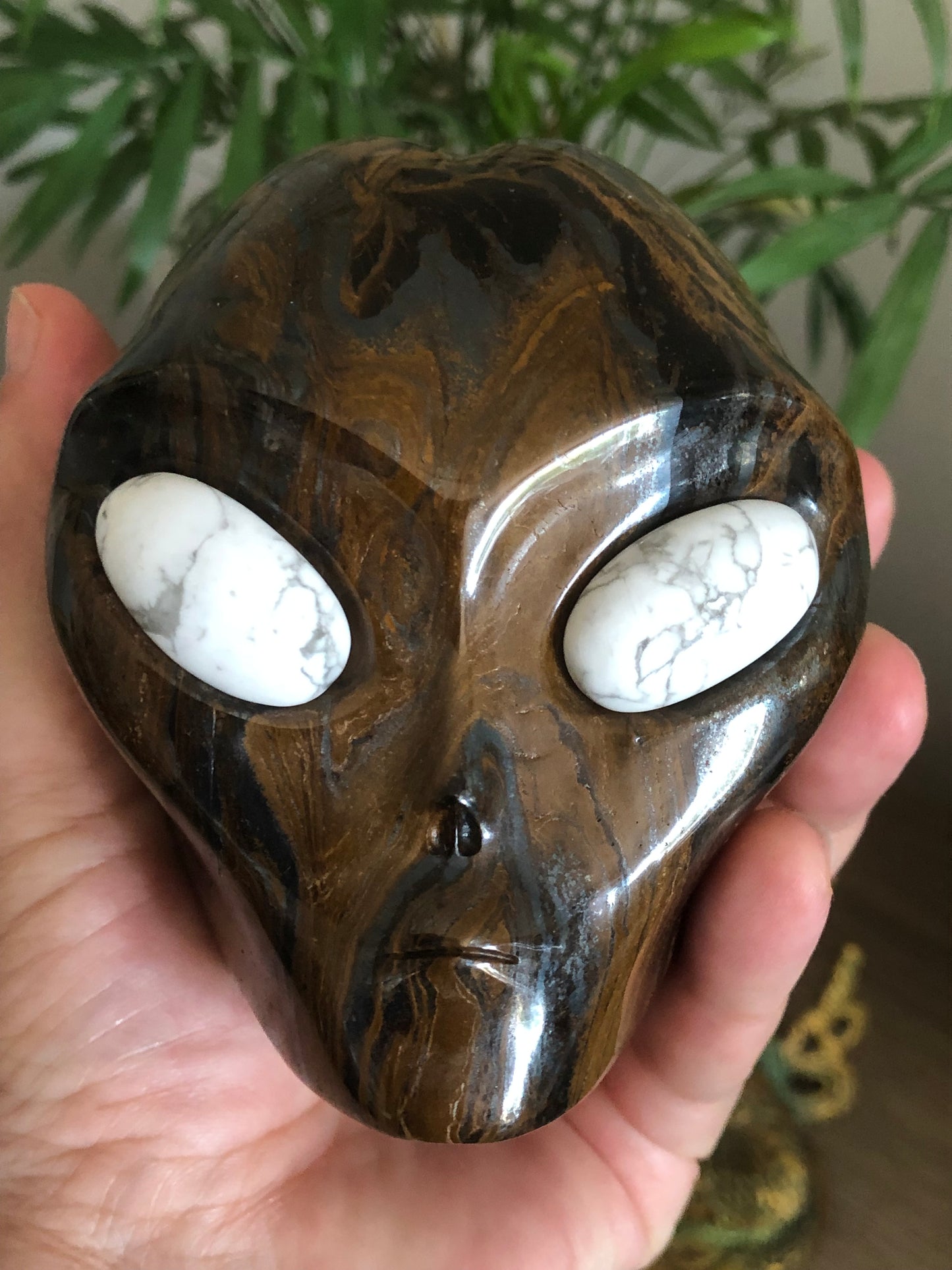 Crâne stellaire œil de fer et howlite