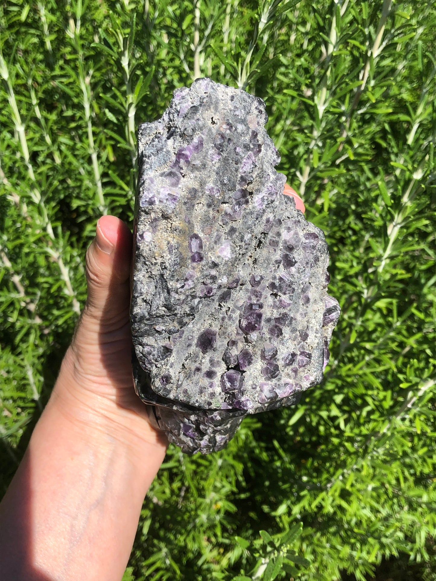 Crâne d’améthyste semi poli