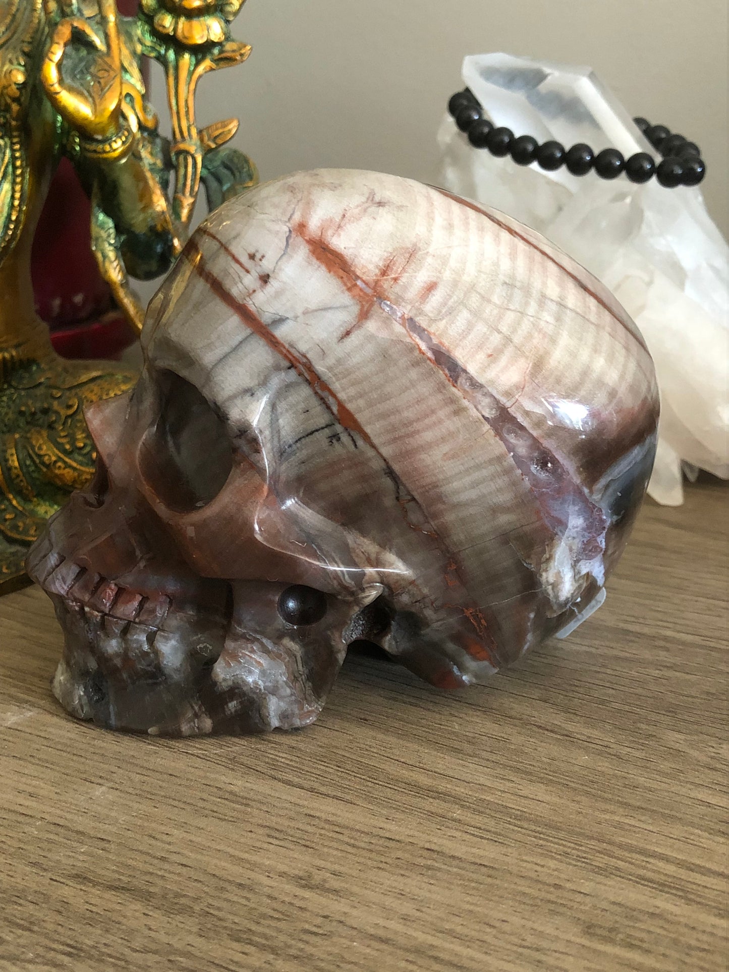 Crâne de cristal en bois fossilisé