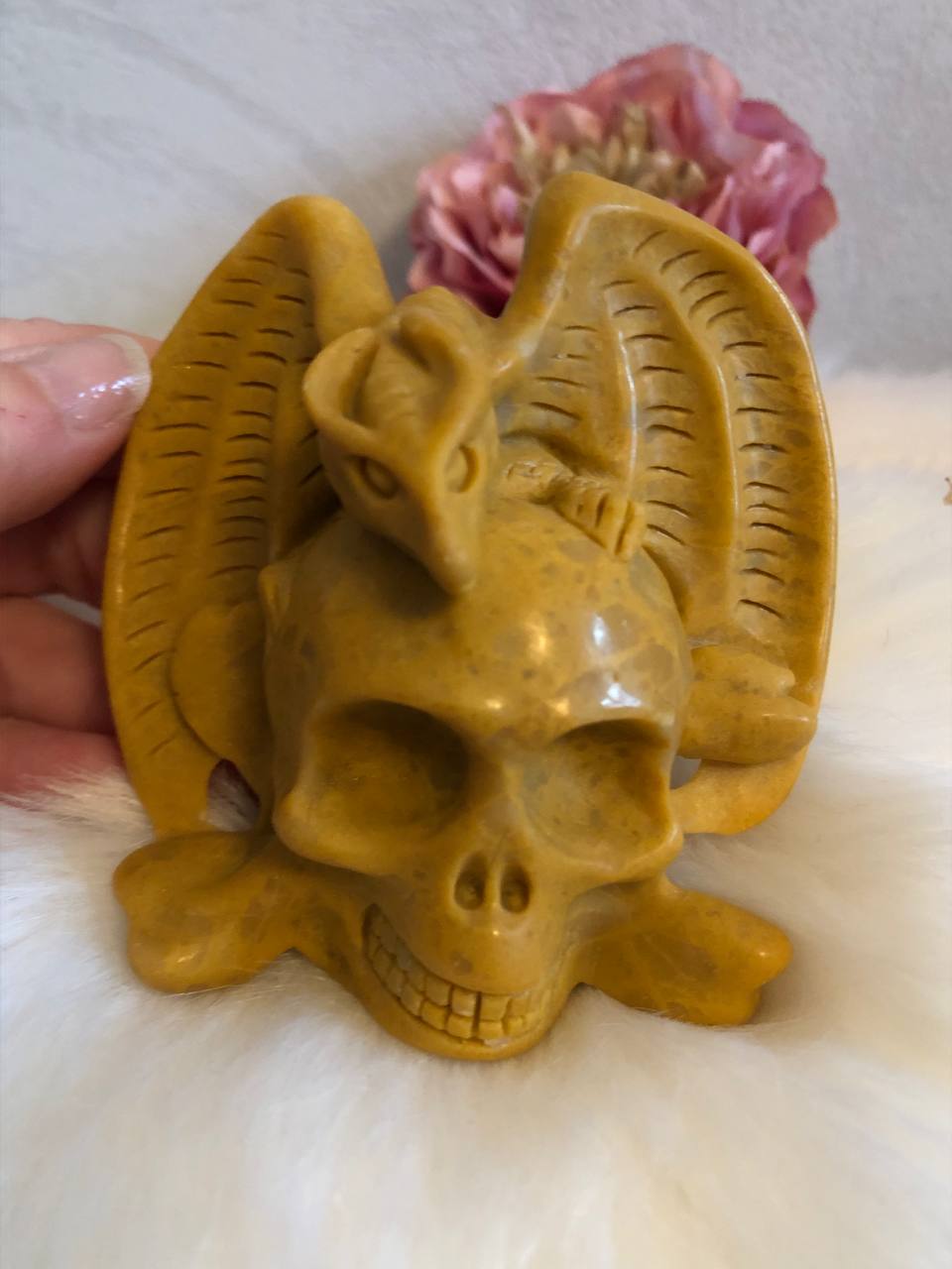 Crâne et dragon mookaite