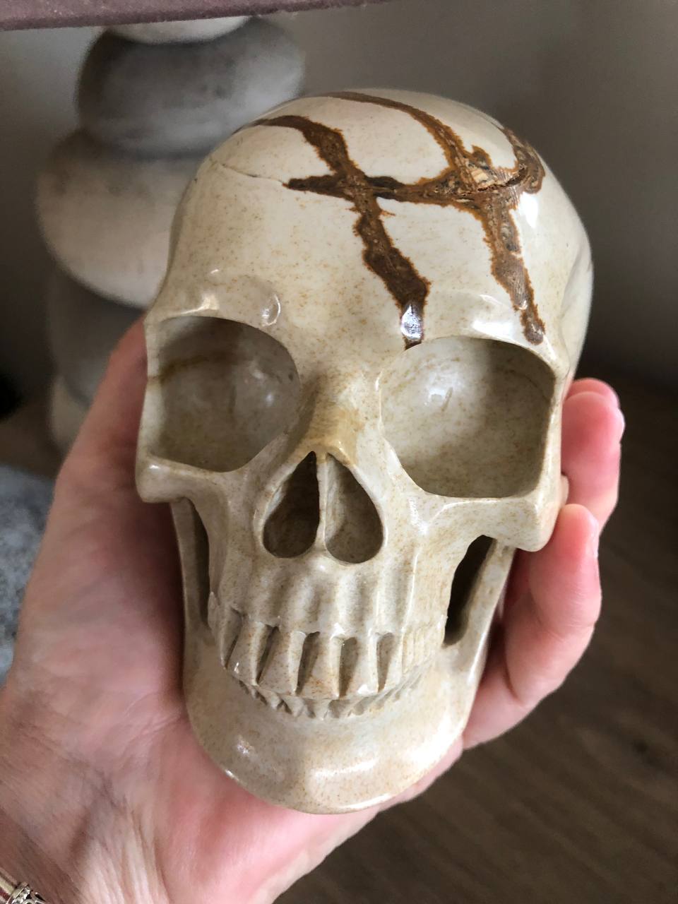 Crâne de cristal en bois fossilisé