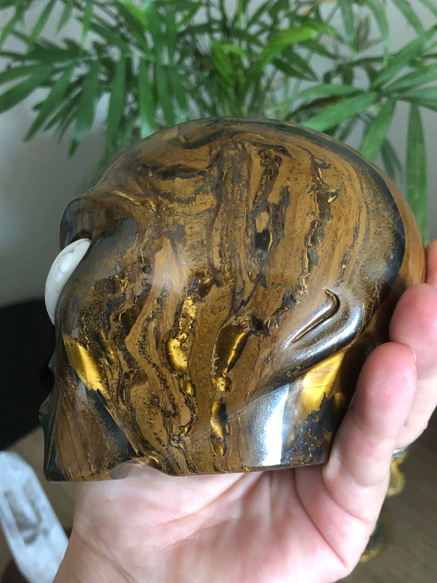 Crâne stellaire œil de fer et howlite