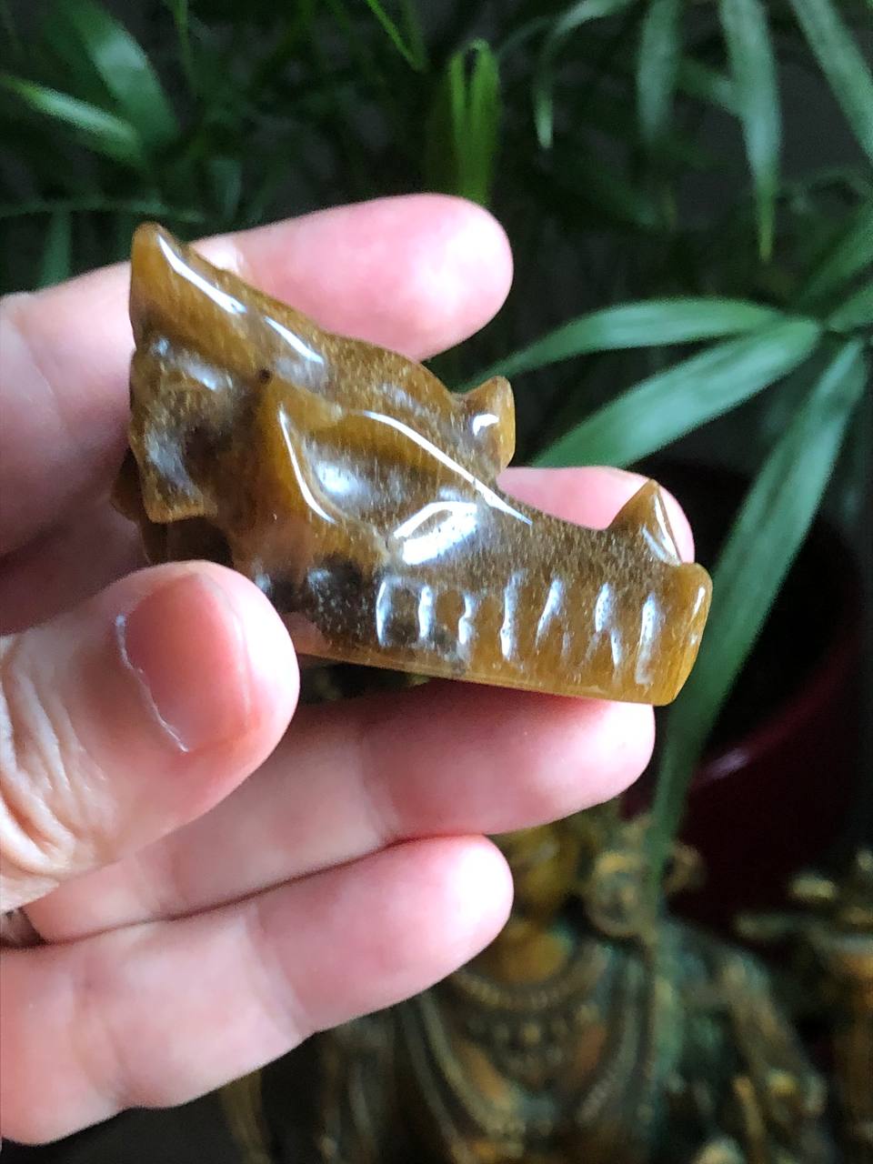 Crâne dragon en œil de tigre