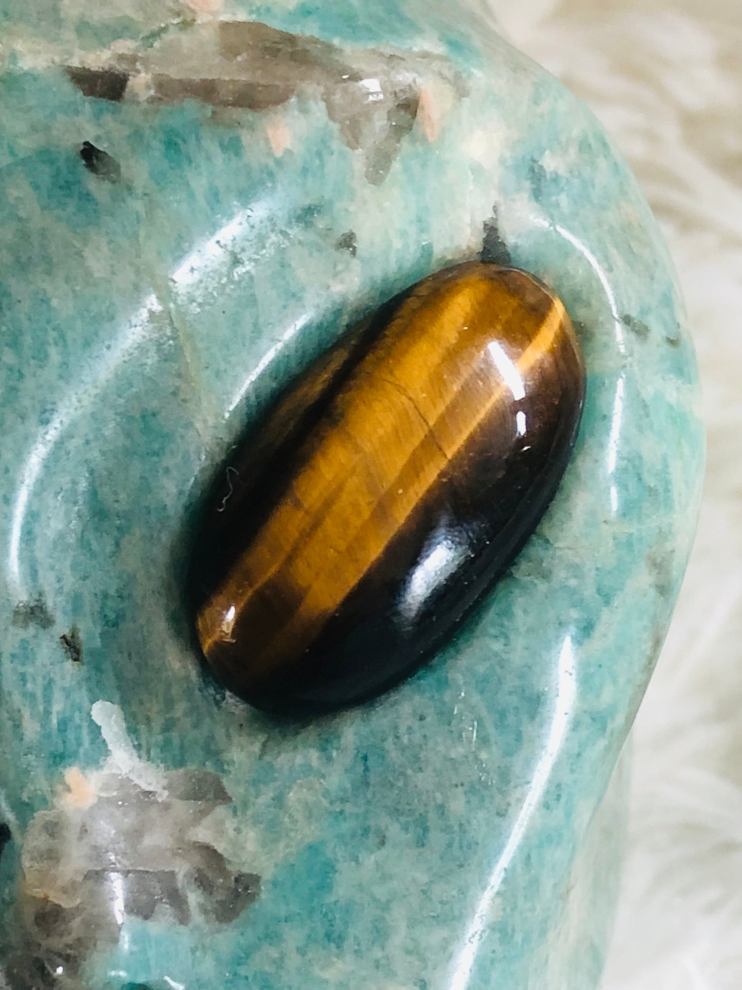 Crâne stellaire en amazonite et oeil de tigre