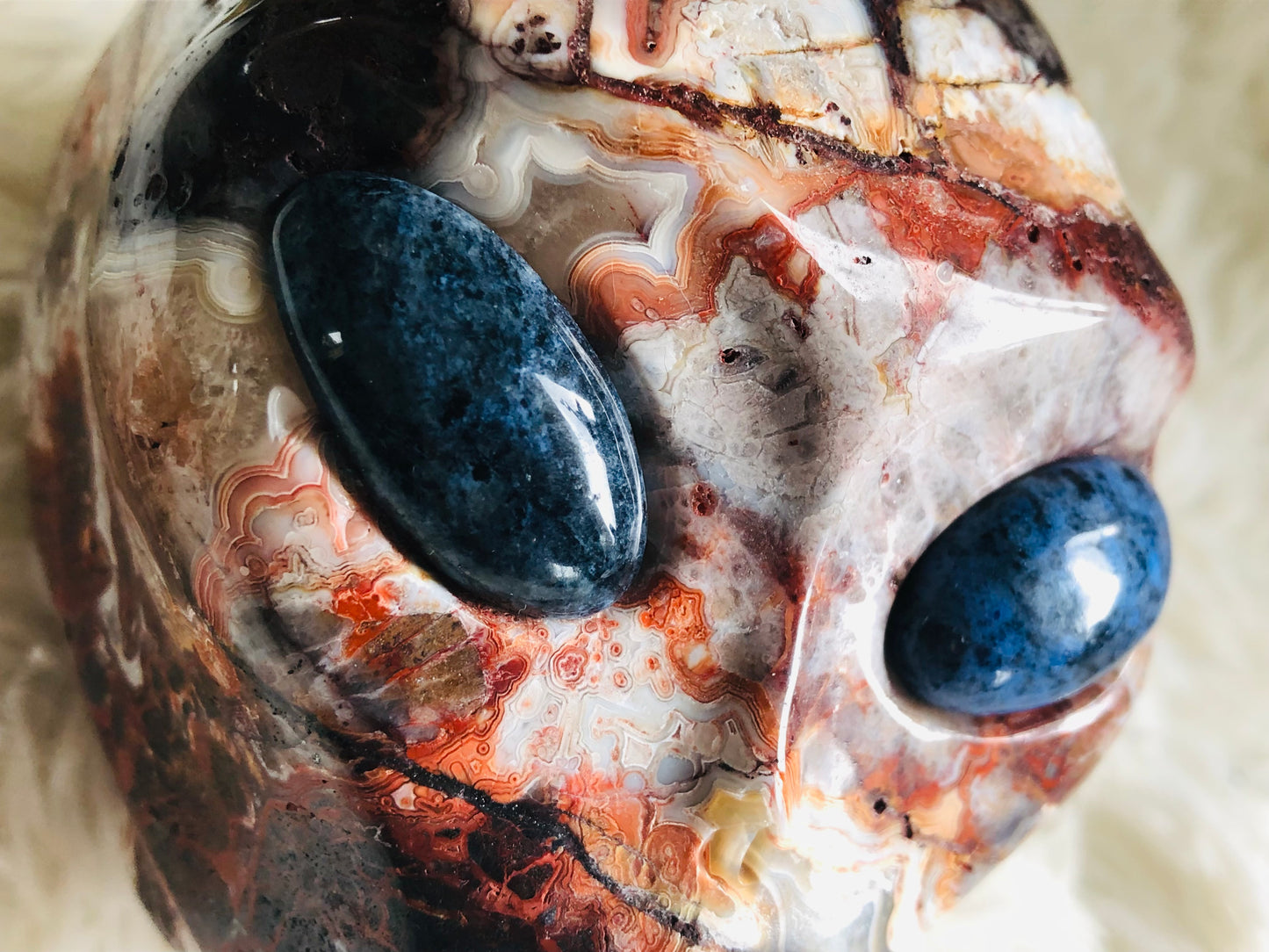Crâne stellaire en agate mexicaine crazy lace et sodalite