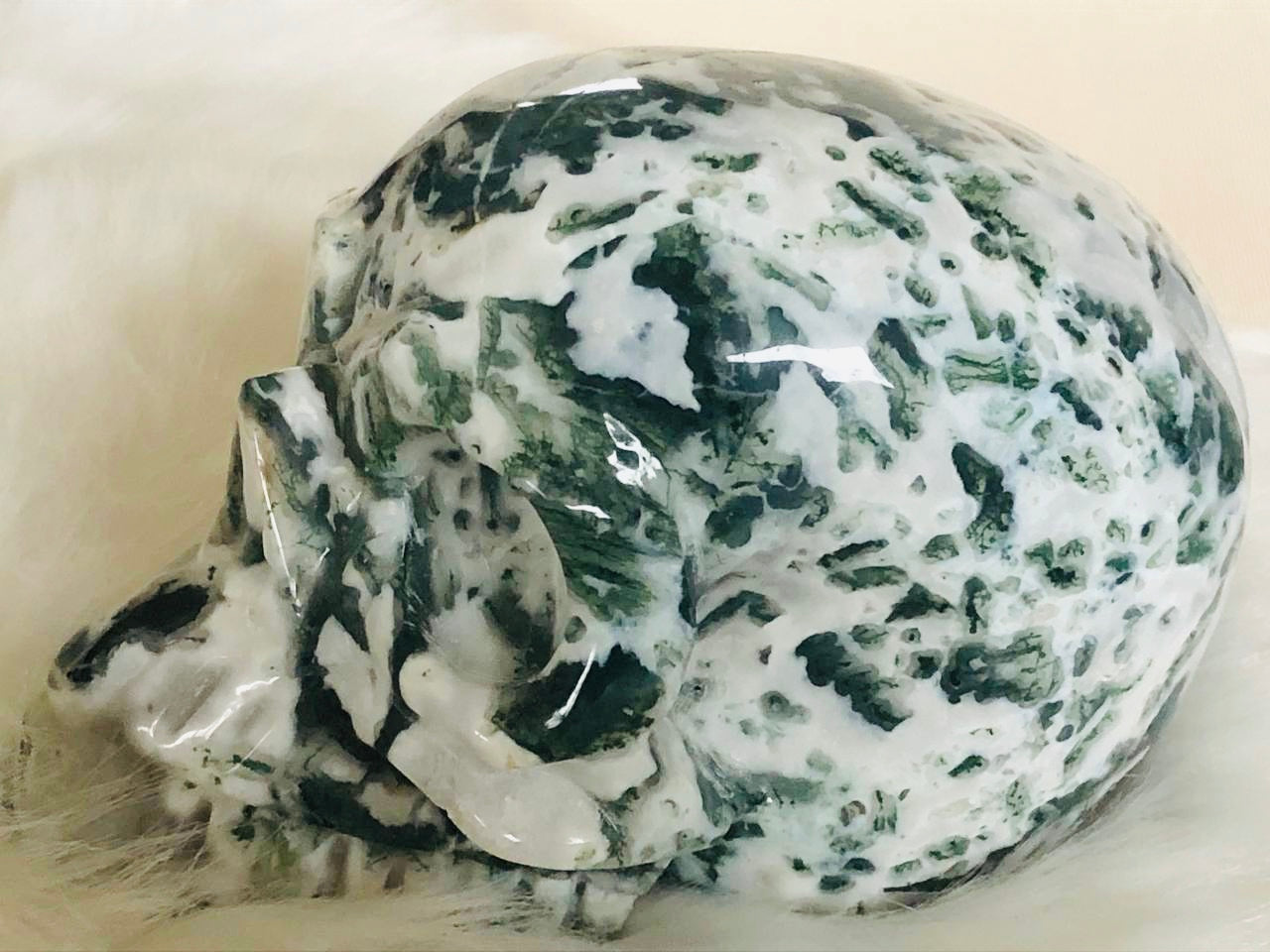 Crâne de cristal en agate arbre