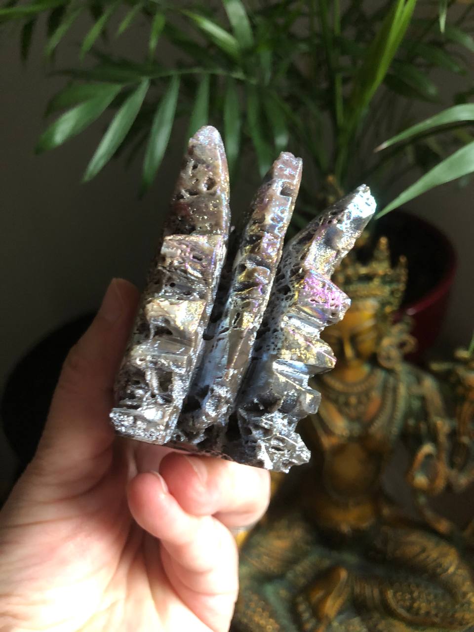 Crâne de dragon en Sphalerite aura