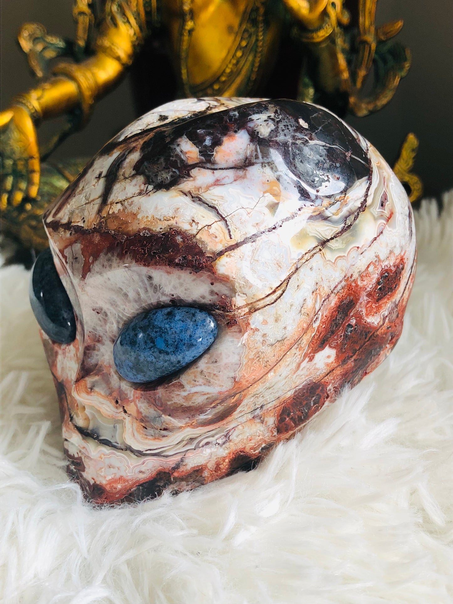 Crâne stellaire en agate mexicaine crazy lace et sodalite