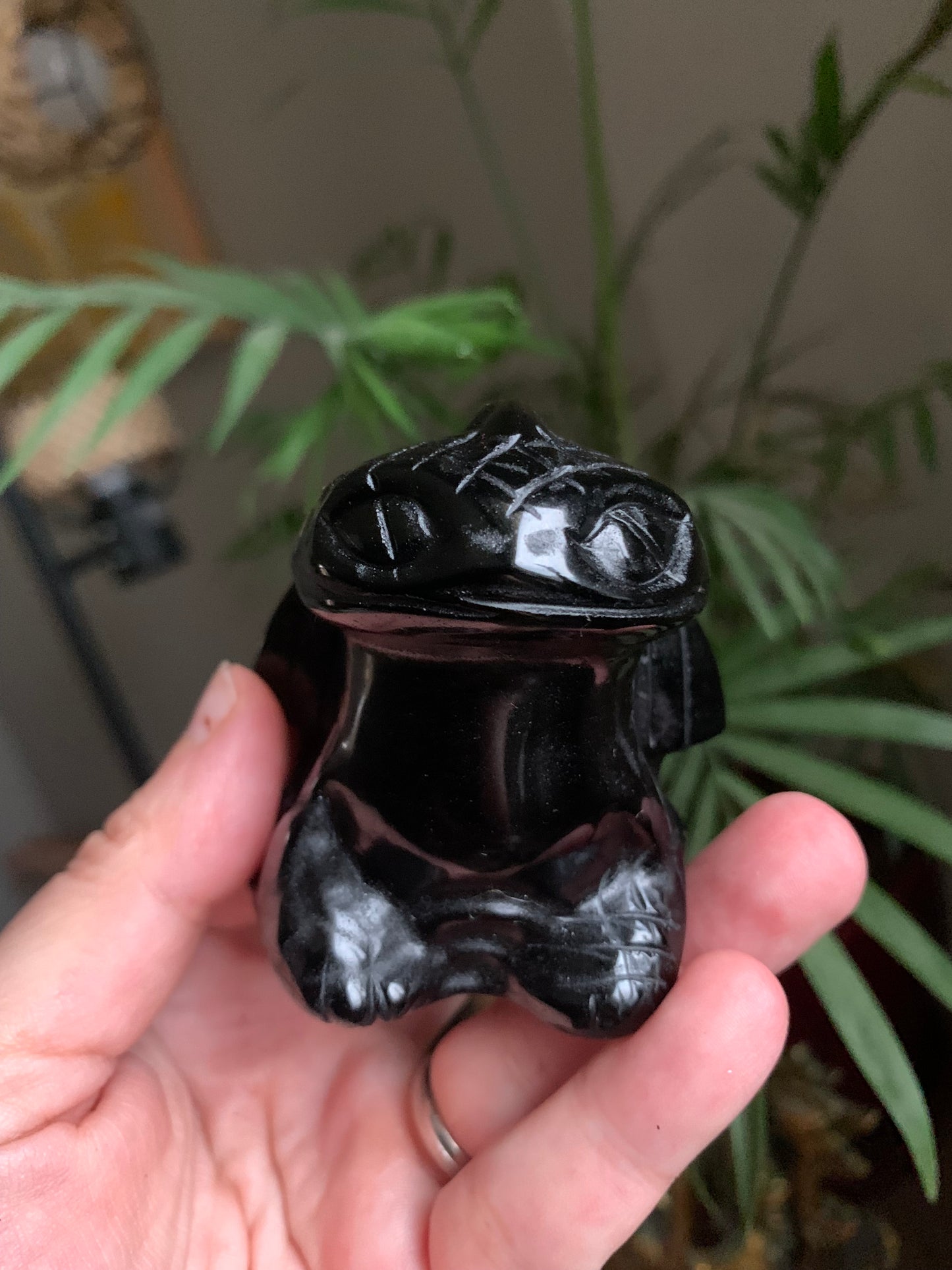 Crâne cristal de roche et dragon obsidienne