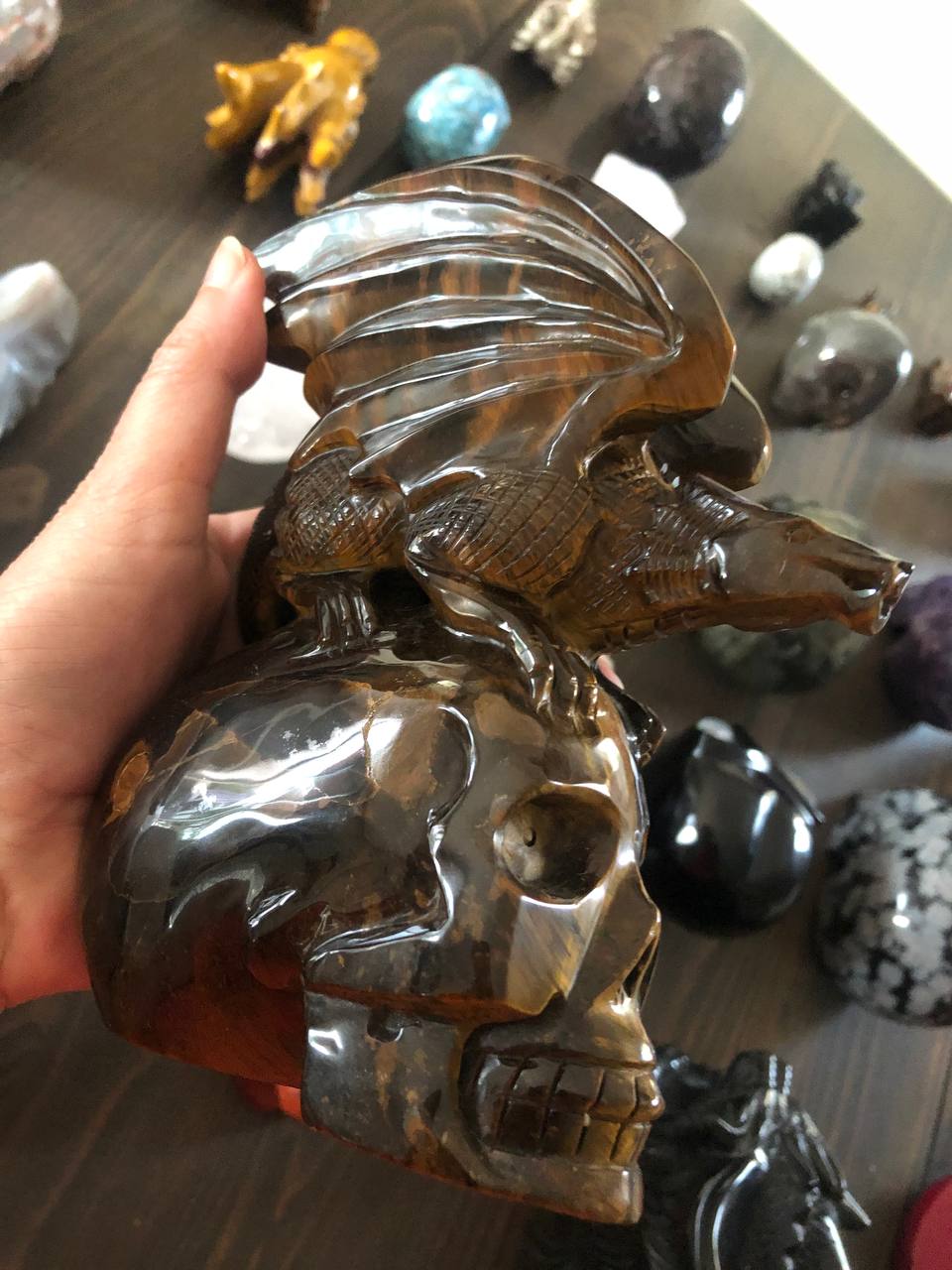 Crâne de cristal avec dragon en œil de tigre
