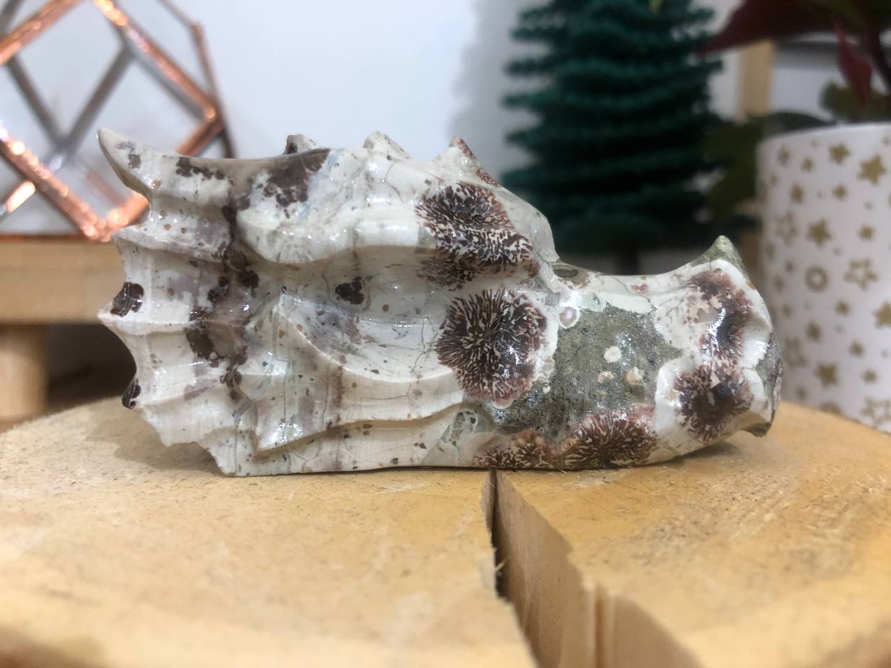 Crâne de dragon cristal en jaspe orbiculaire