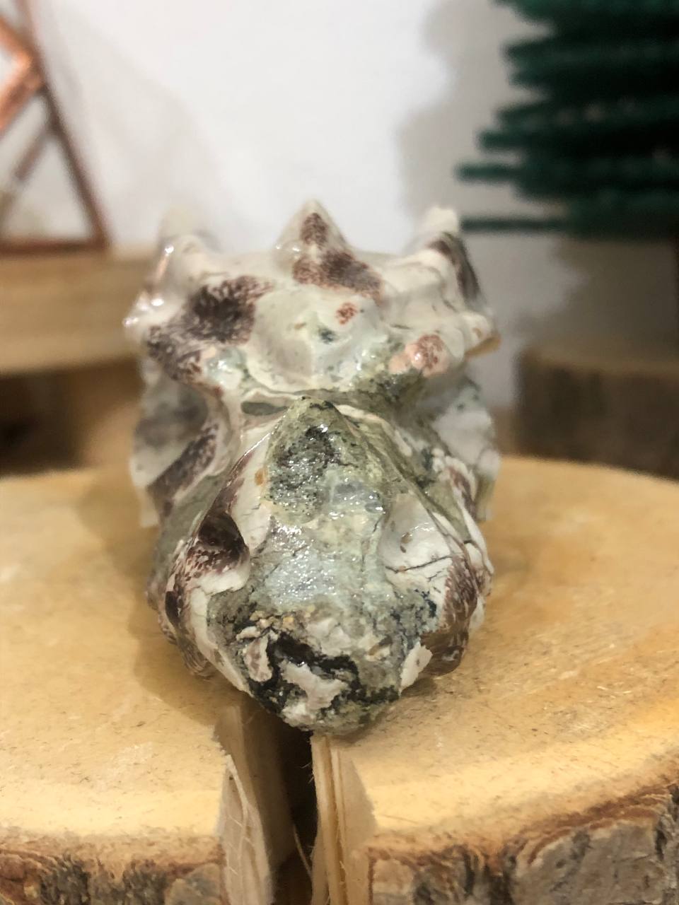 Crâne de dragon cristal en jaspe orbiculaire