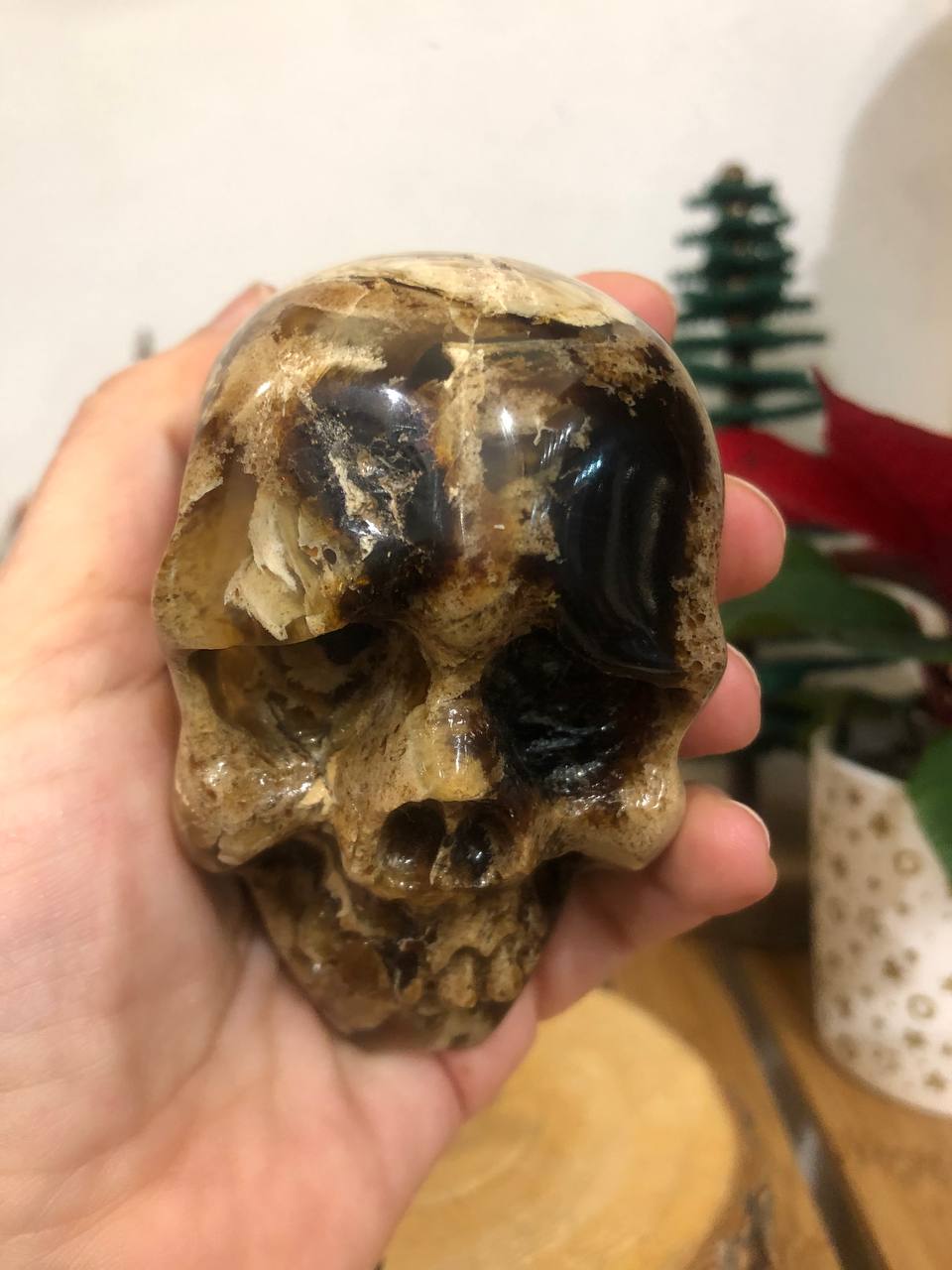 Crâne de cristal en ambre naturelle