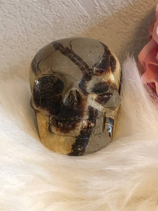 Crâne de cristal en septaria