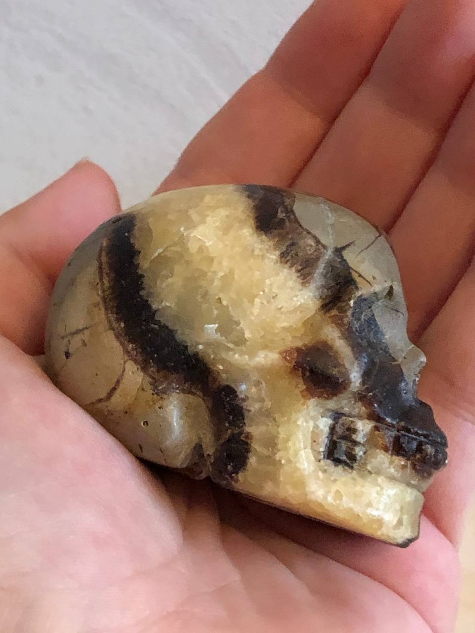 Crâne de cristal en septaria