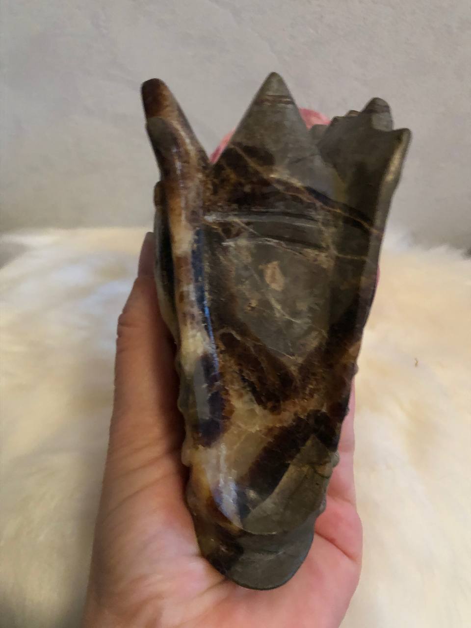 Crâne de dragon cristal en septaria