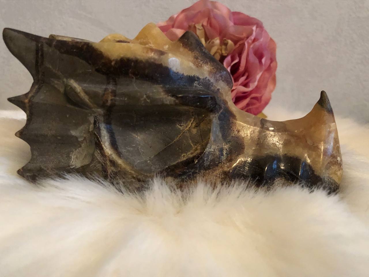 Crâne de dragon cristal en septaria