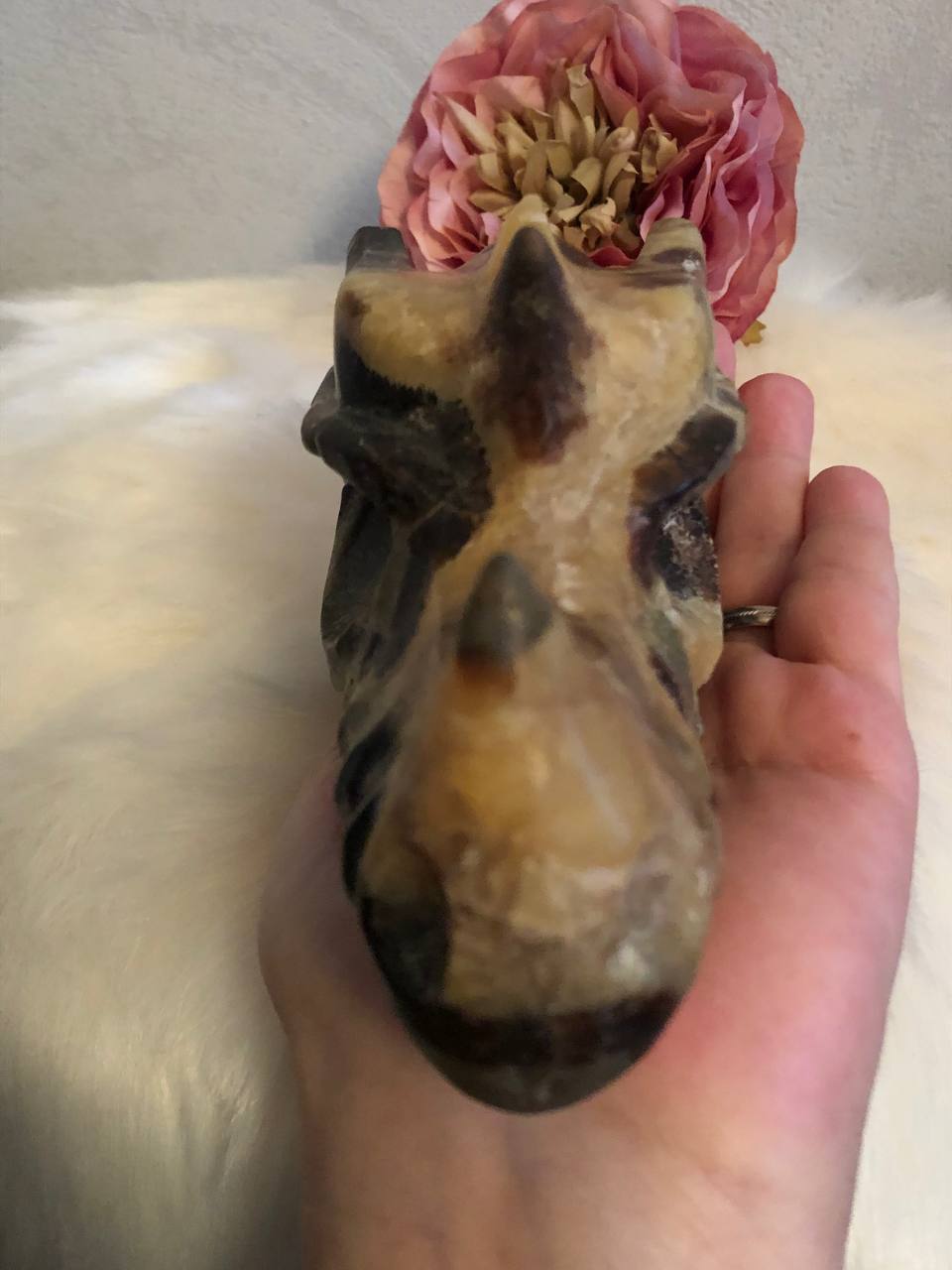Crâne de dragon cristal en septaria