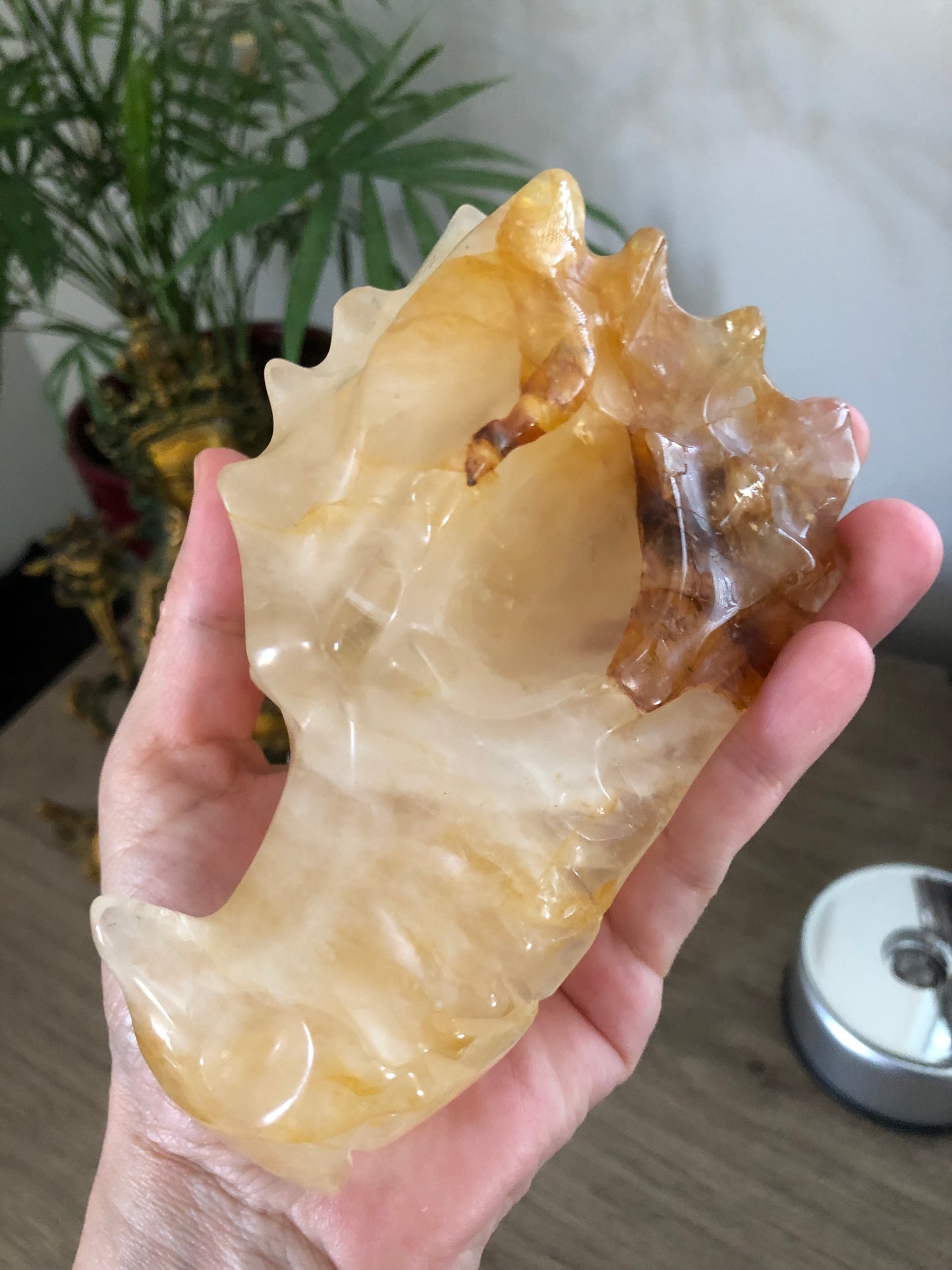 Crâne de dragon en quartz guérisseur doré