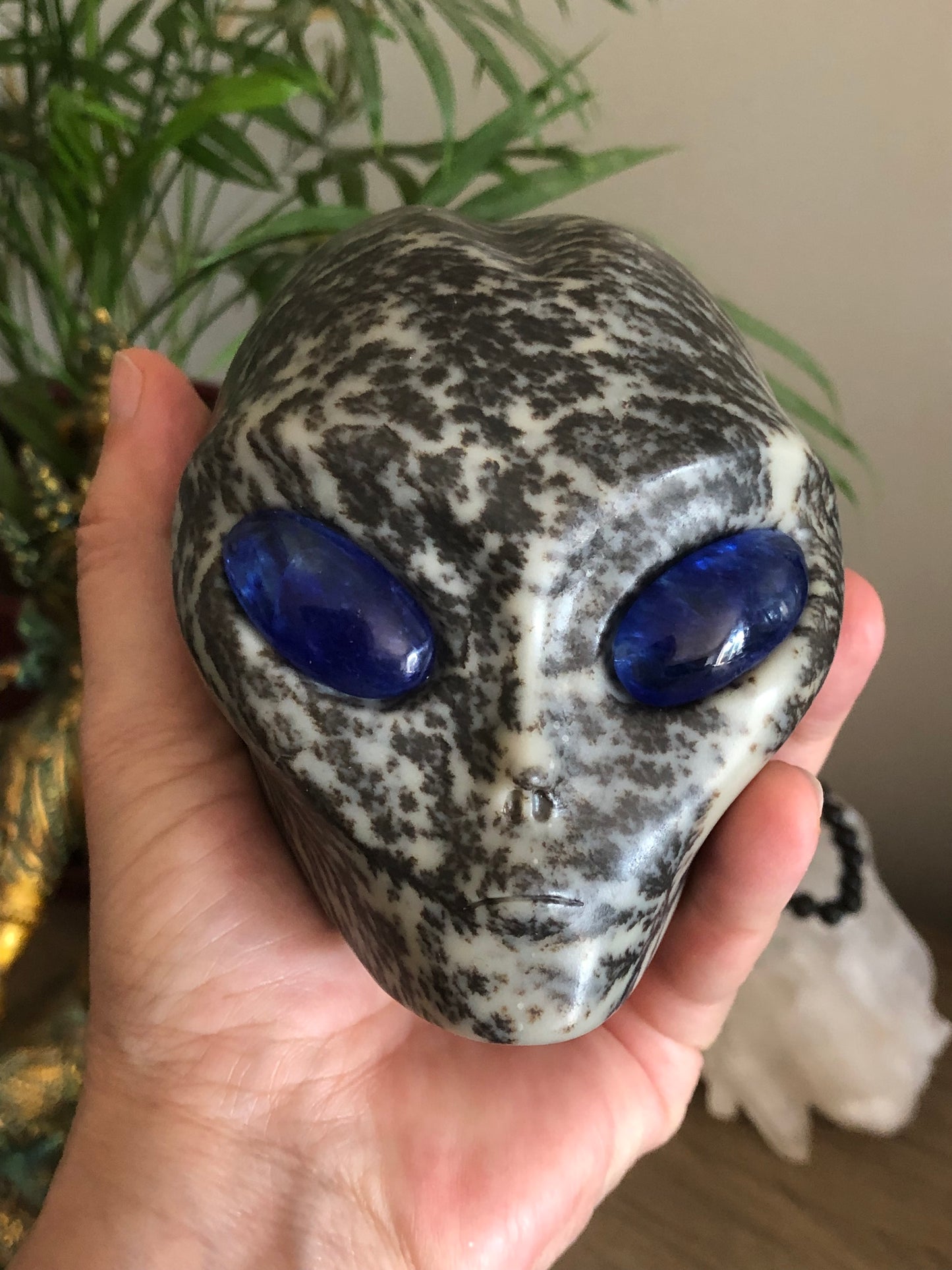 Crâne stellaire en bryozoaire et obsidienne bleue de synthèse