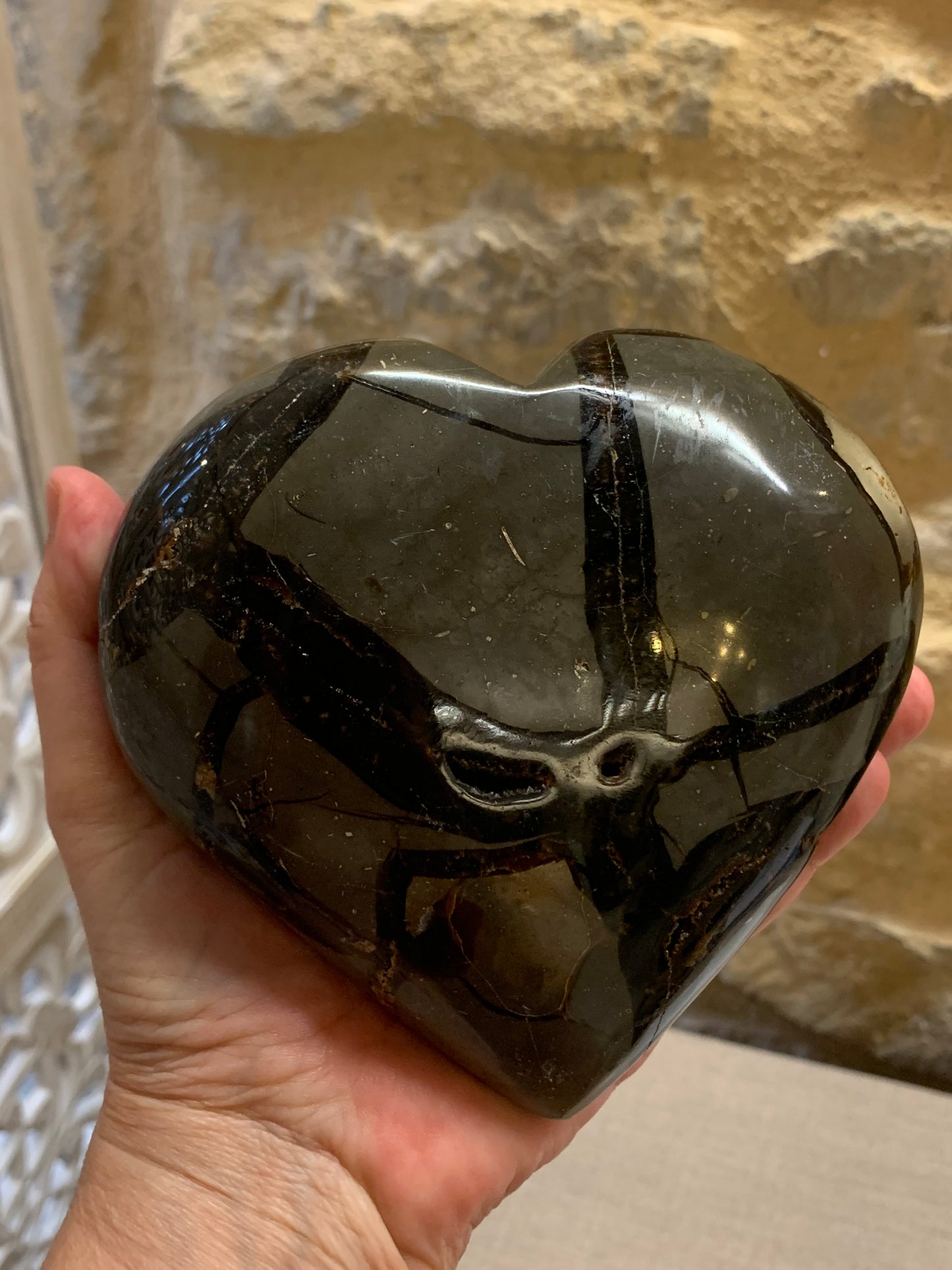 Duo Septaria crâne et coeur
