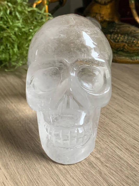 Crâne cristal de roche et dragon obsidienne