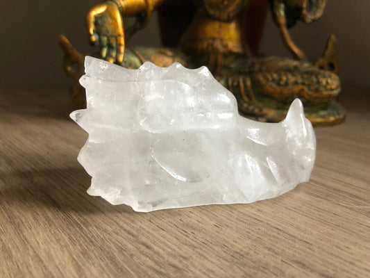 Crâne de dragon en cristal de roche