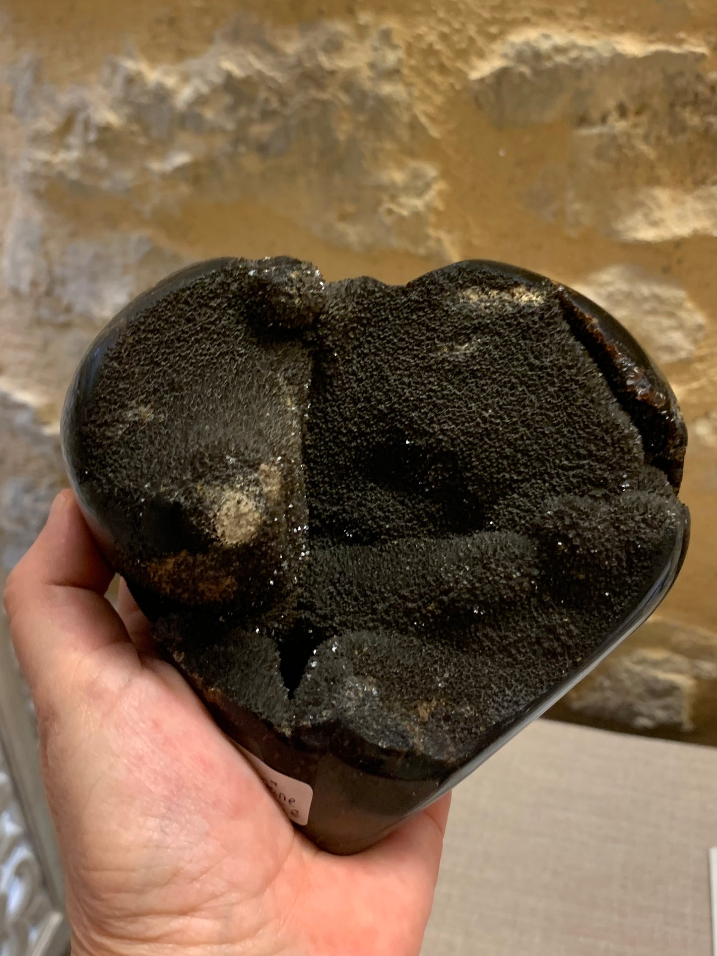 Duo Septaria crâne et coeur