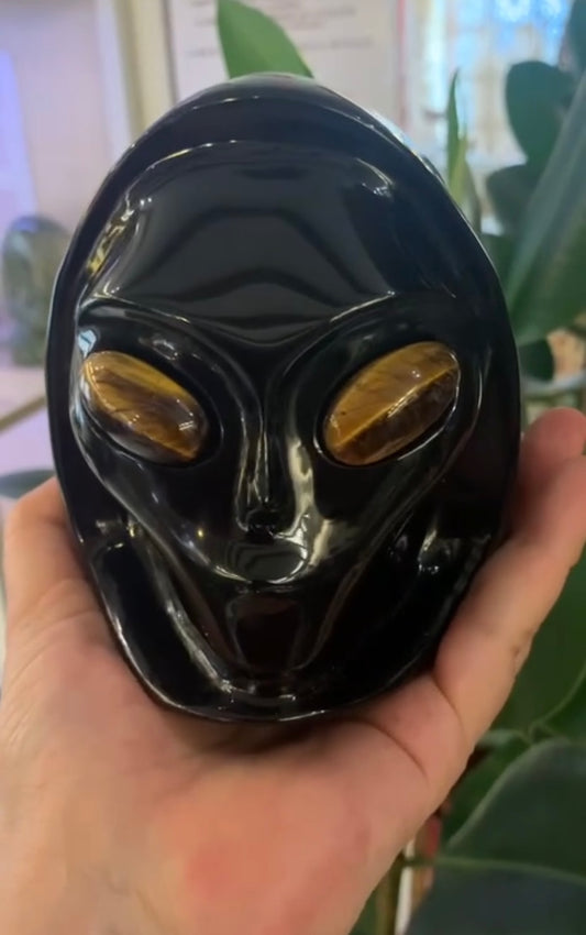 Crâne de cristal stellaire en obsidienne noire et oeil de tigre