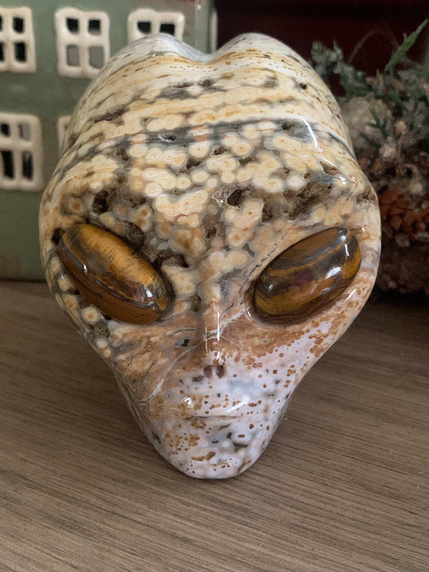 Crâne de cristal stellaire en jaspe océan et oeil de tigre