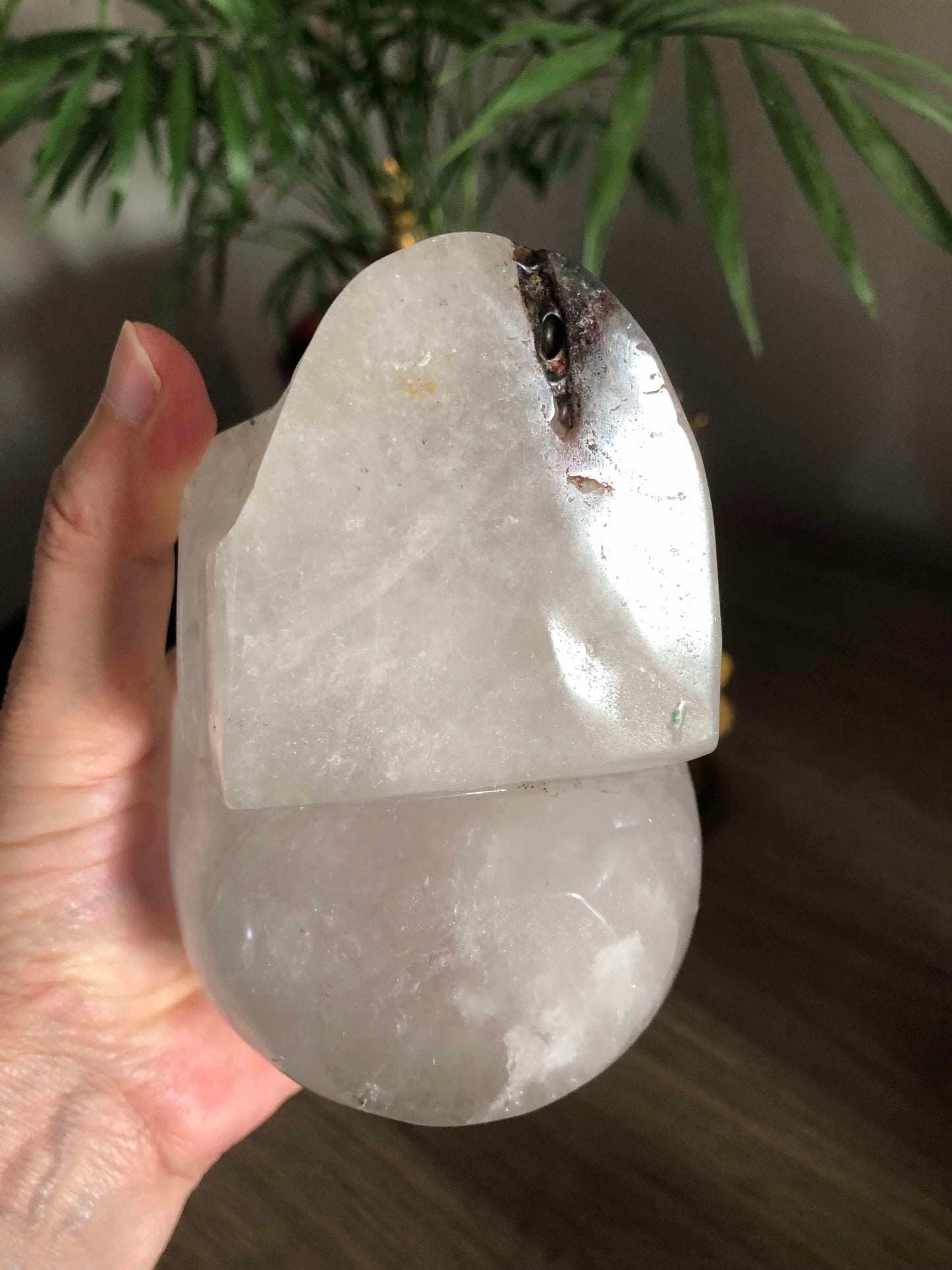 Crâne quartz chaman et rose sacrée 🌹