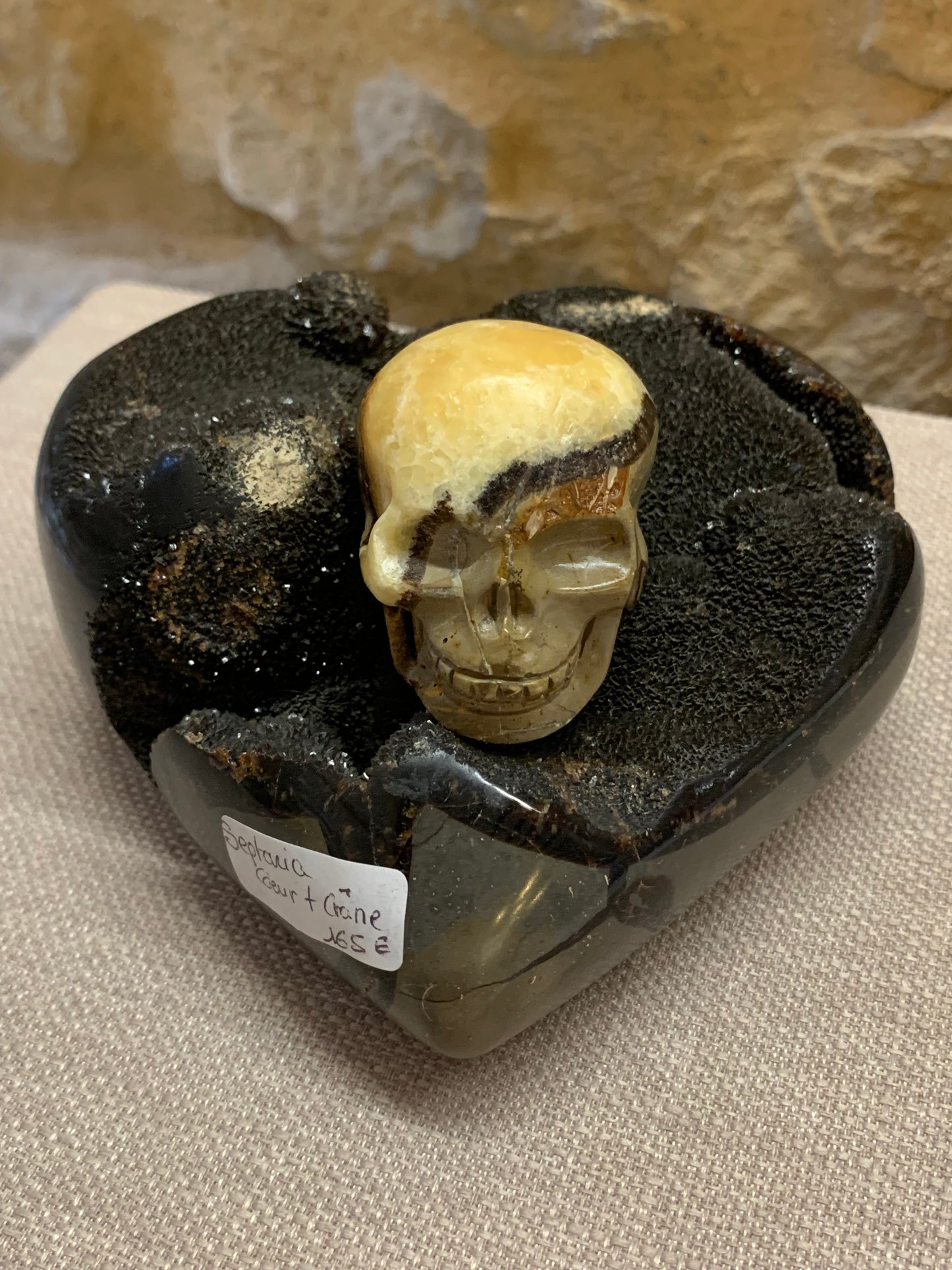 Duo Septaria crâne et coeur