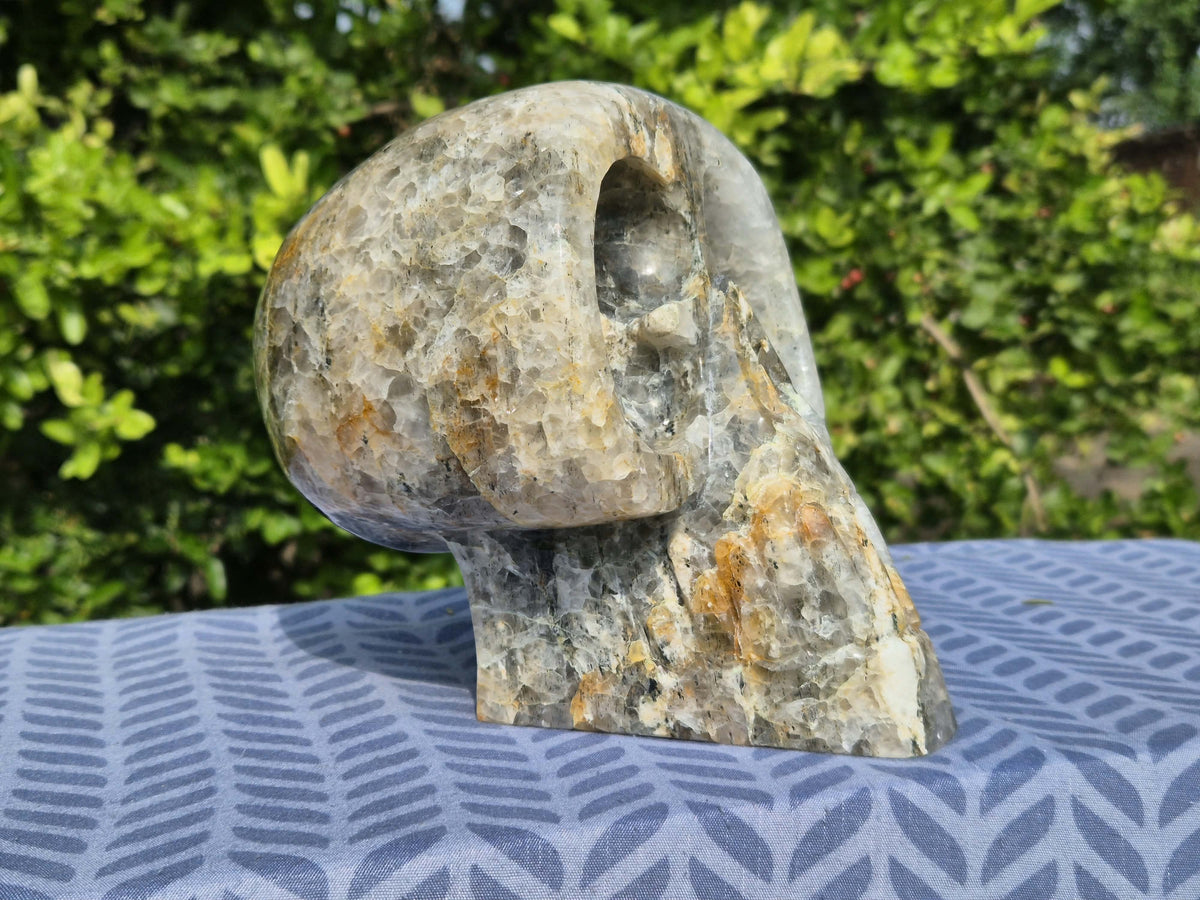 PRÉCOMMANDE ! Crane trimuli avec hématite