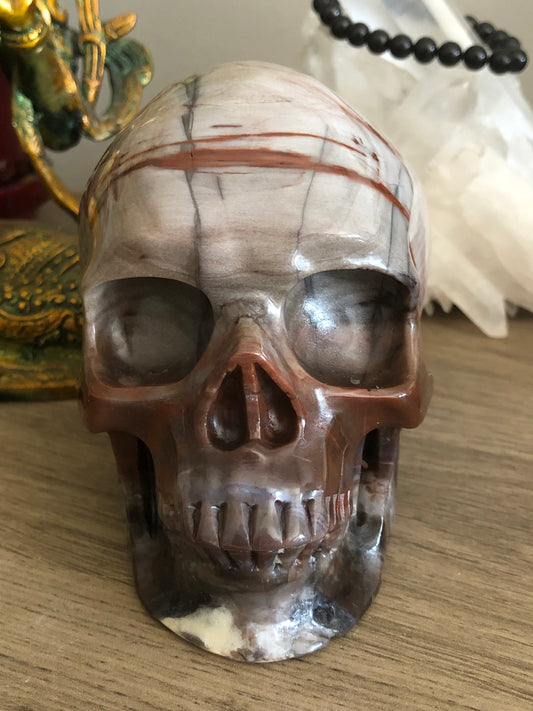 Crâne de cristal en bois fossilisé
