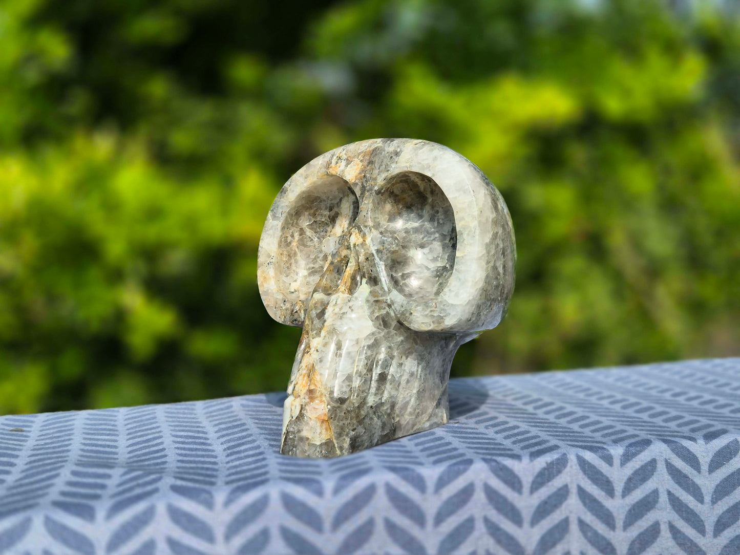 PRÉCOMMANDE ! Crane trimuli avec hématite