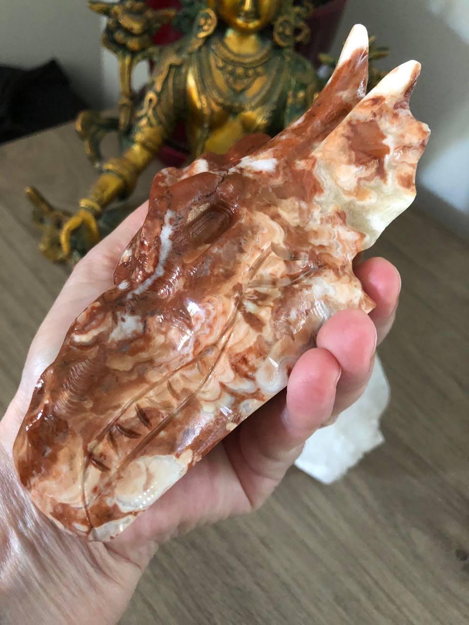 Crâne de dragon en calcite ambrée