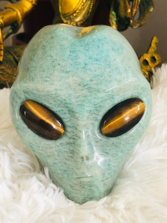 Crâne stellaire en amazonite et oeil de tigre